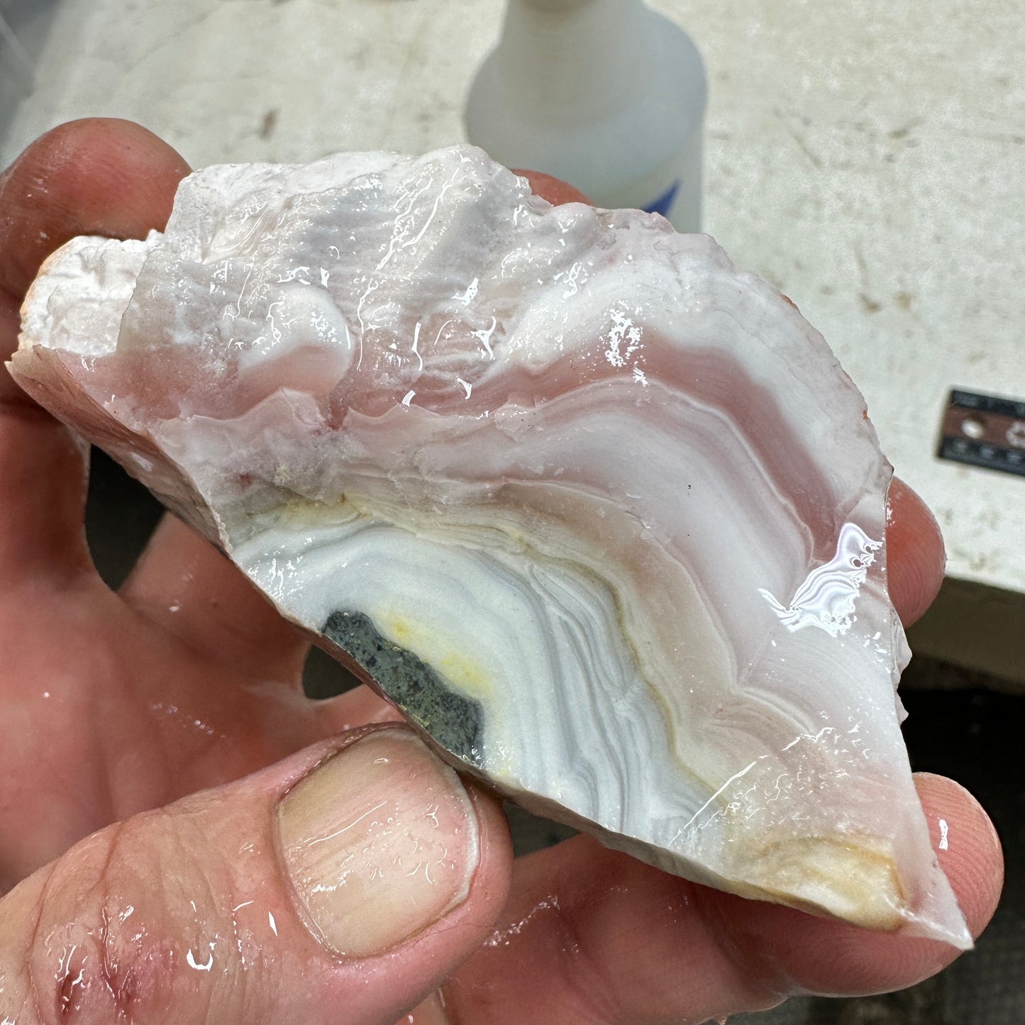 WINDY MOUNTAIN AGATE Rough - 0.53 Pounds