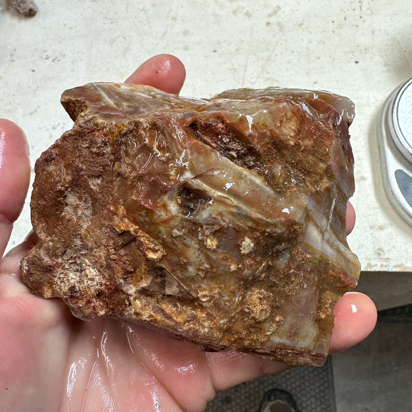 SUMATRAN FLAME SAGENITE AGATE Rough - 1.49 pounds