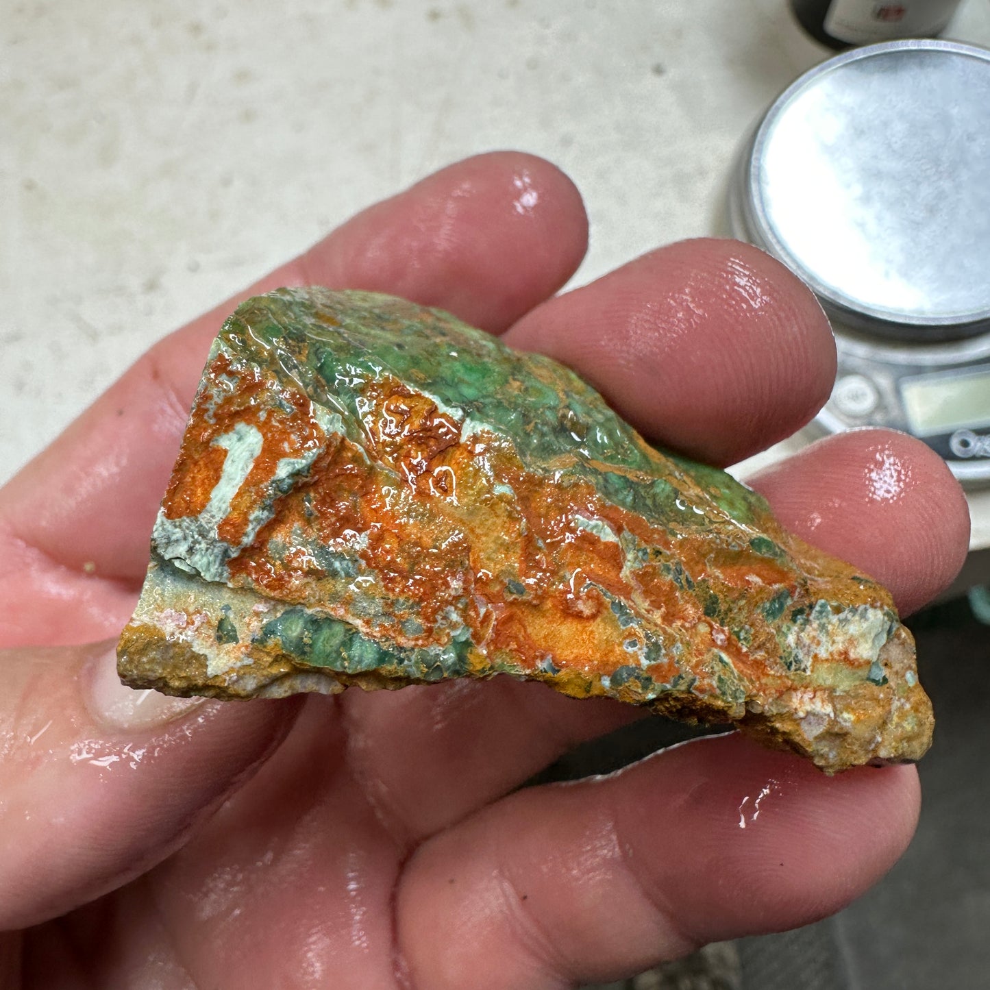AUSTRALIAN VARISCITE Faced Rough - 77.1 grams