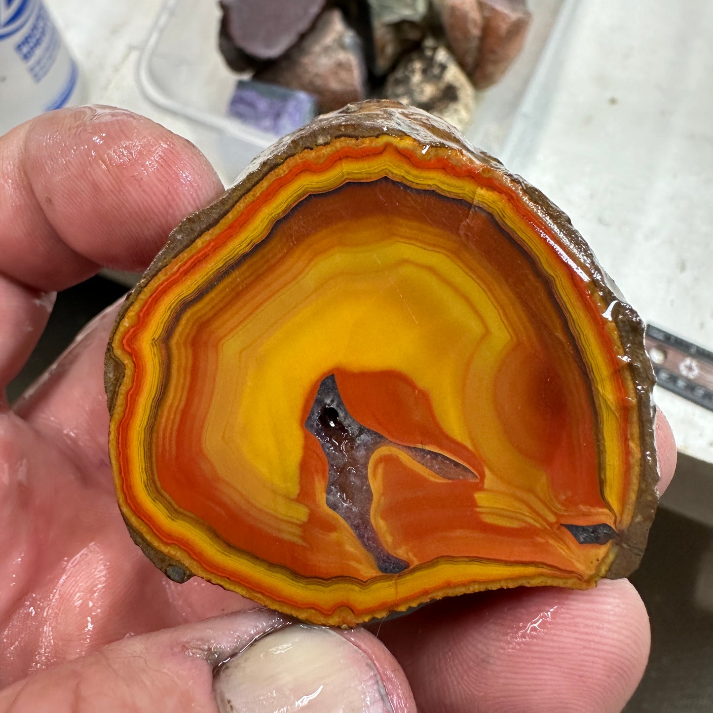 FIGHTING BLOOD AGATE Rough - 0.29 Pounds