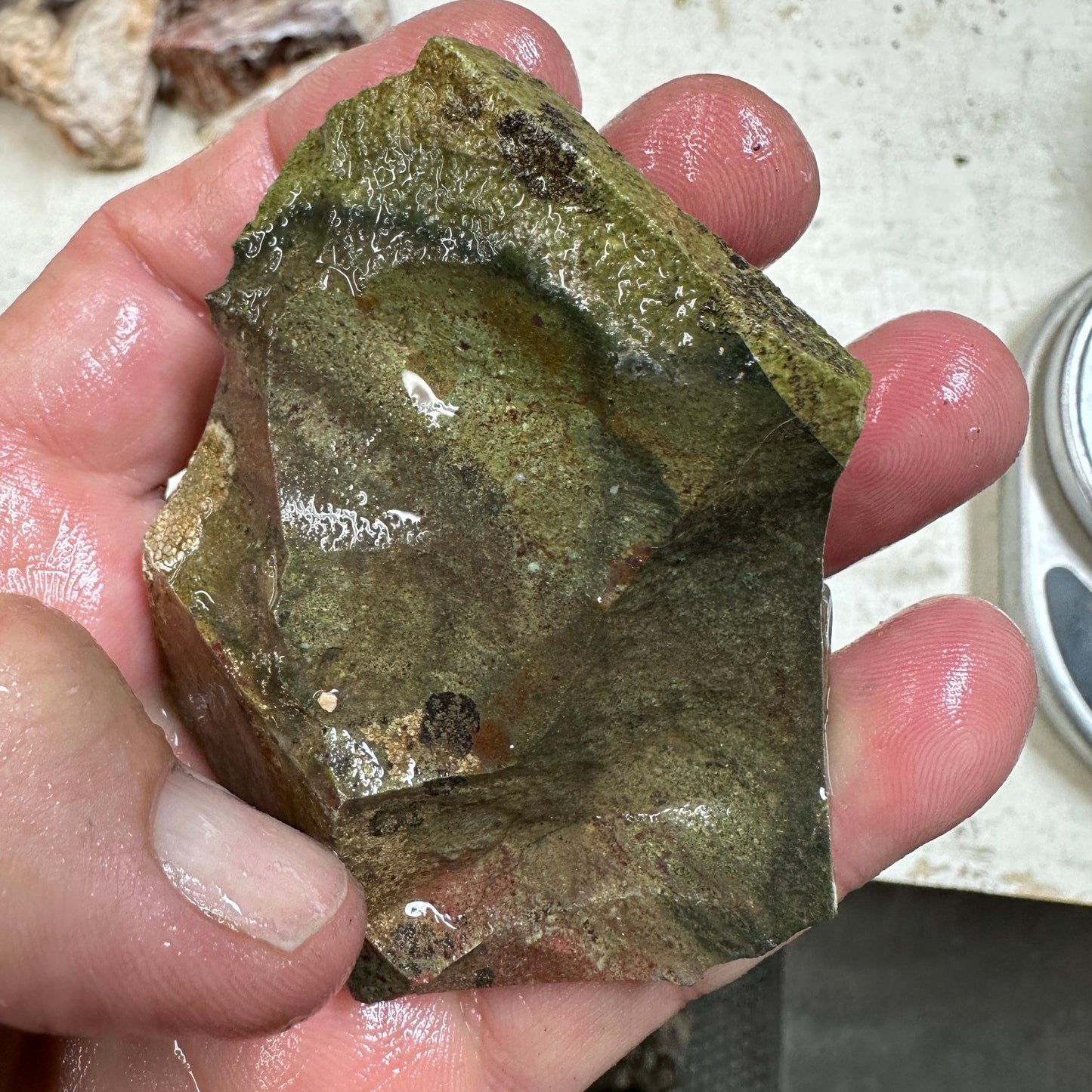 Orbed ECHO RIDGE JASPER Rough - 0.34 Pounds