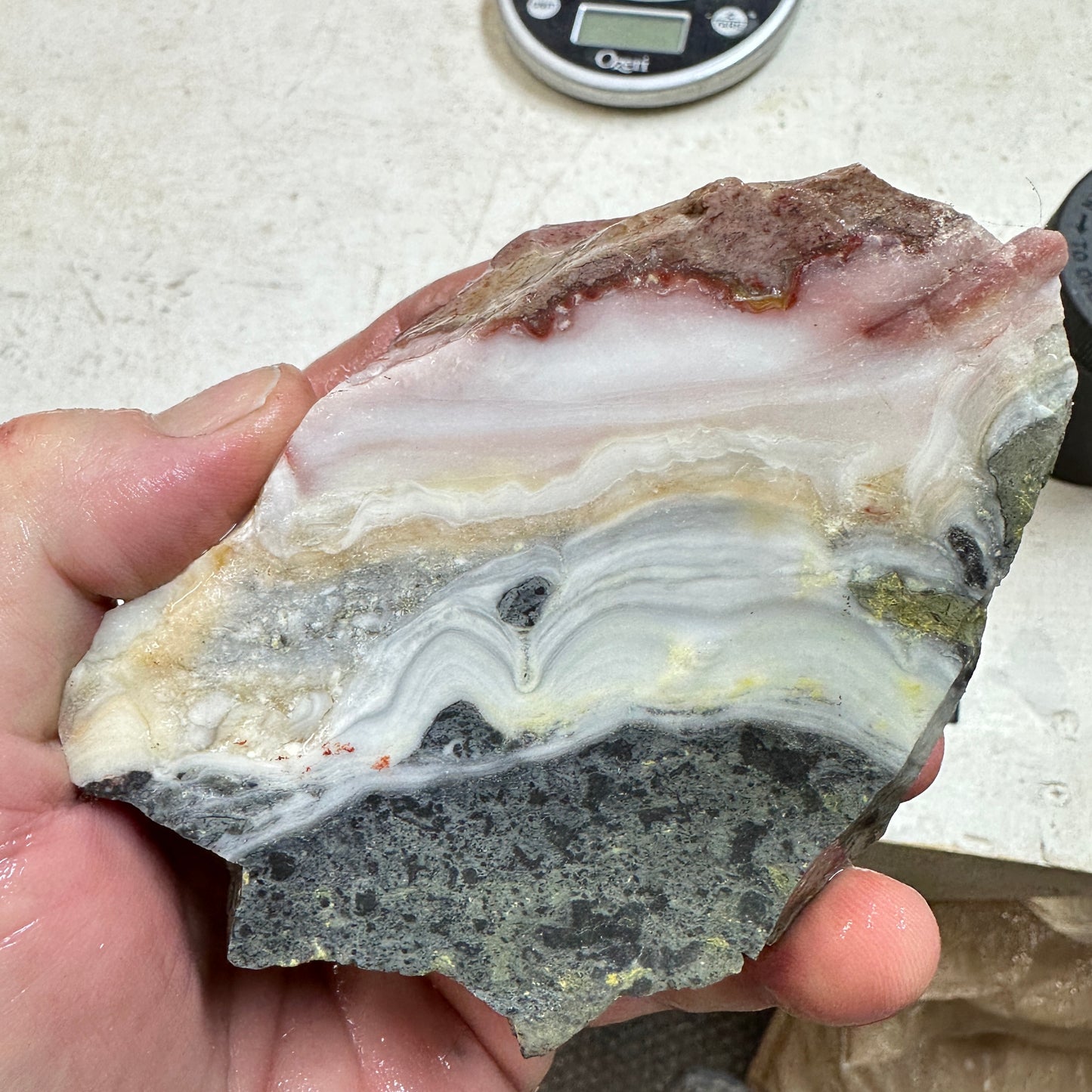 WINDY MOUNTAIN AGATE Rough - 1.40 Pounds