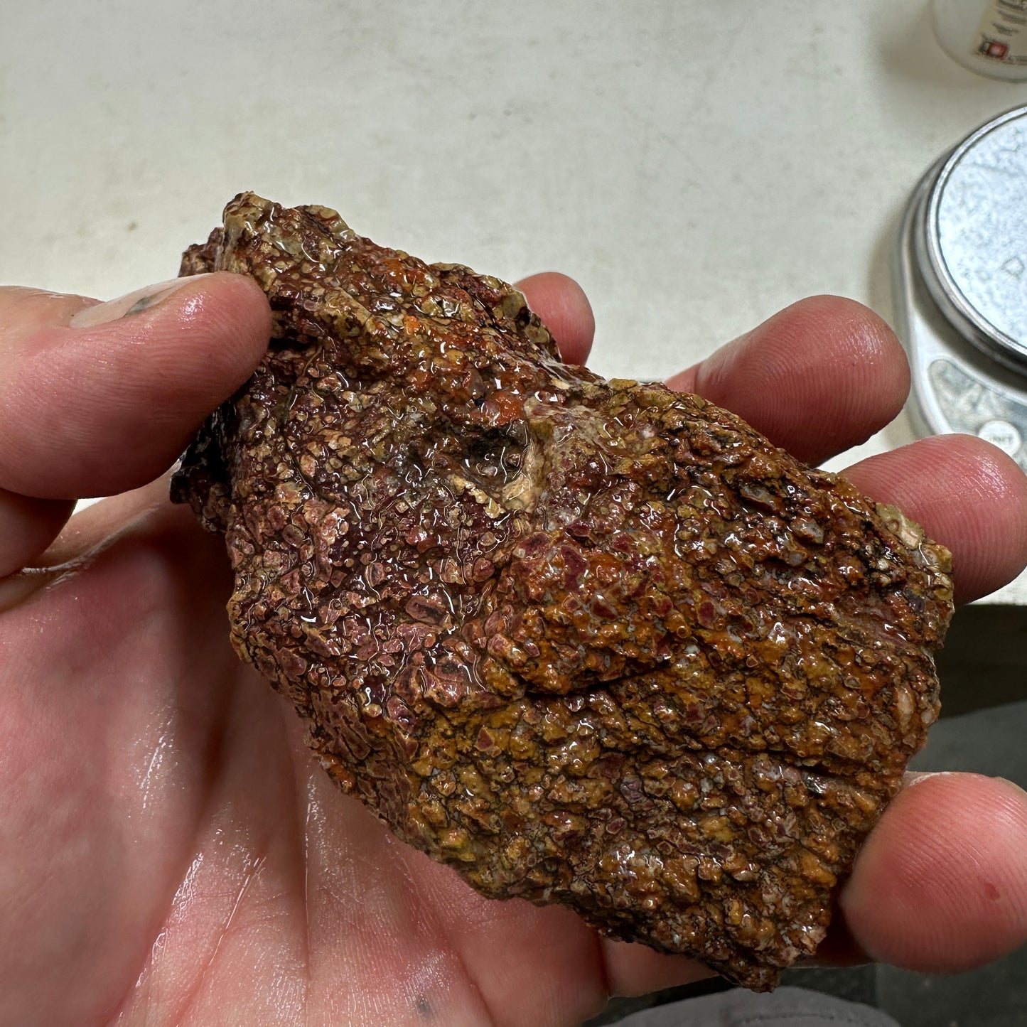 GEMBONE Dinosaur Bone Faced Rough - 12.4 ounces