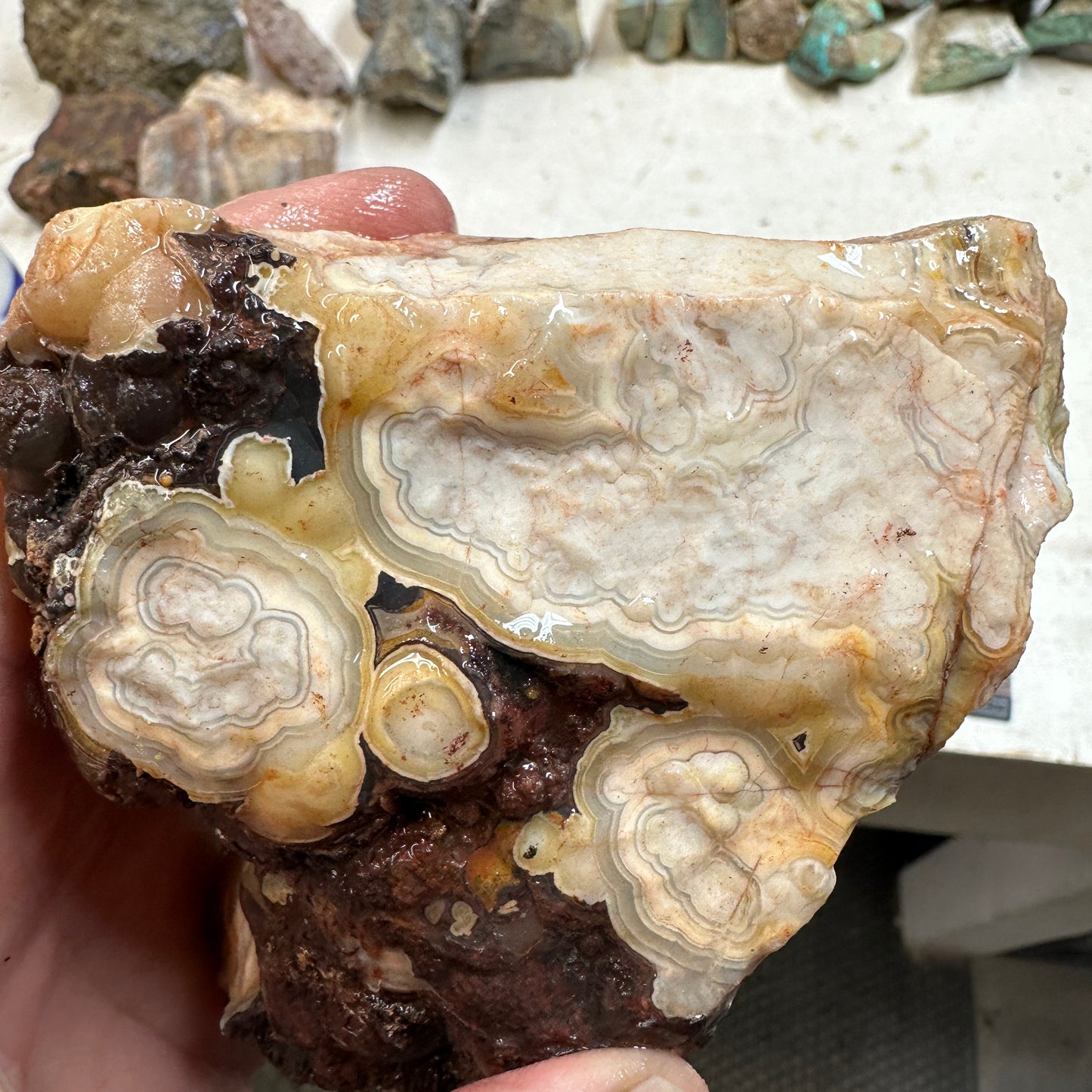CRAZY LACE AGATE Rough - 1.56 pounds