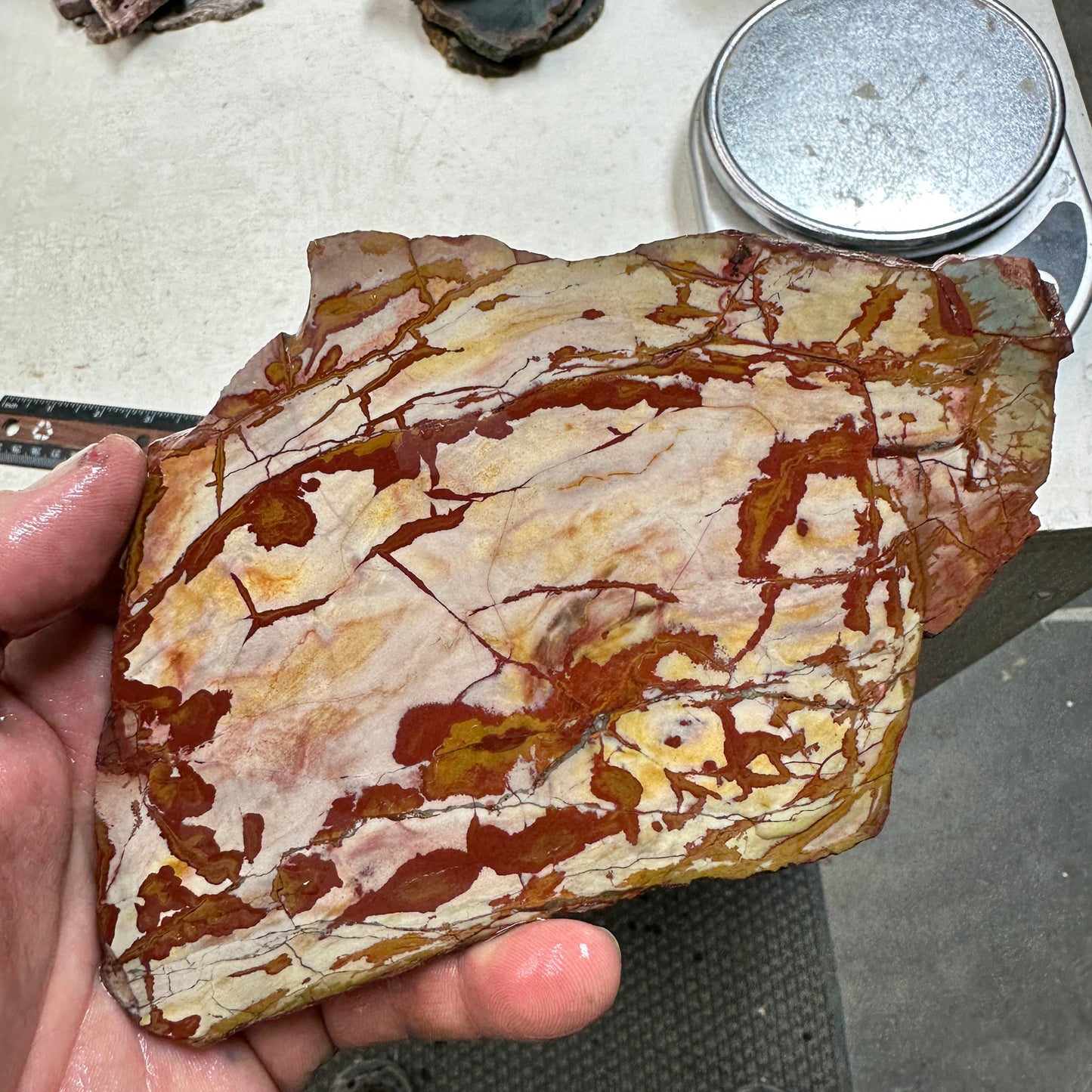 DEAD CAMEL JASPER Slab - 222 grams