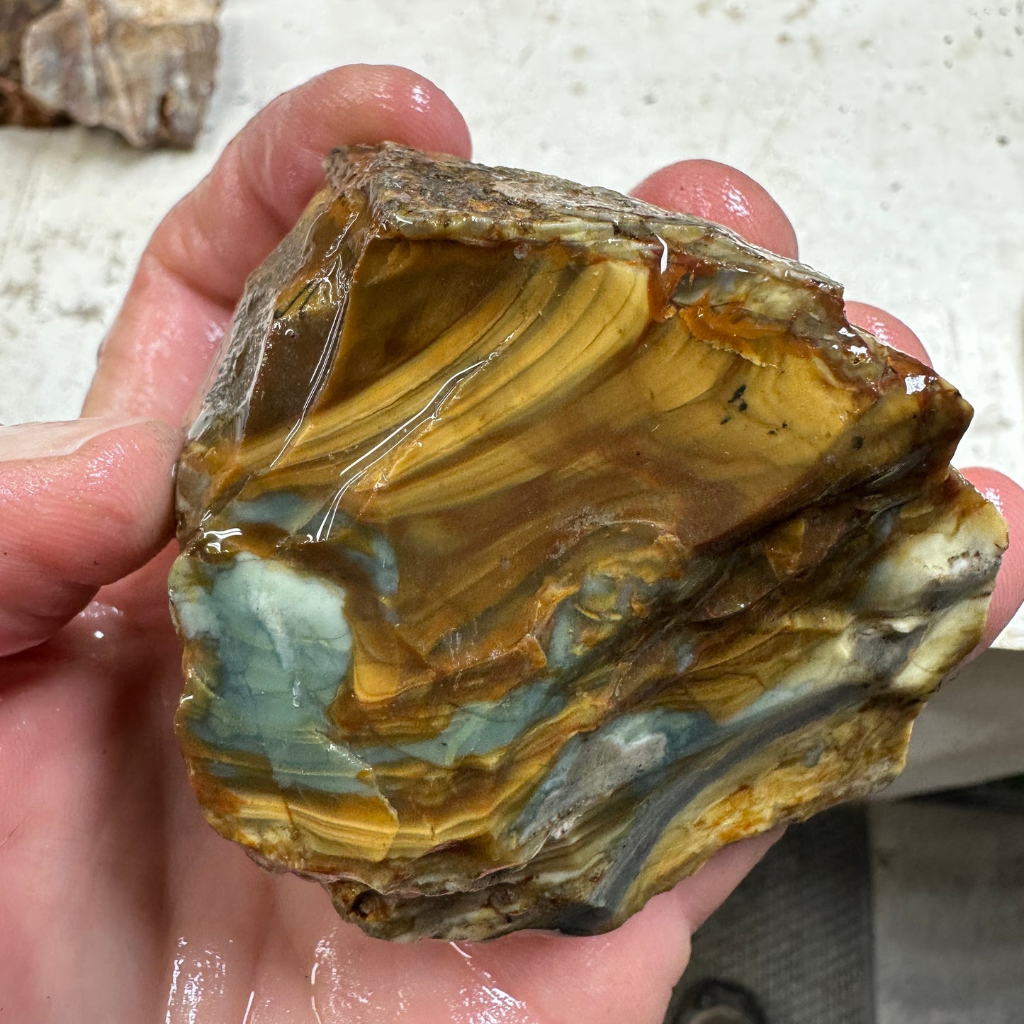 MORRISONITE JASPER Rough - 0.84 Pounds
