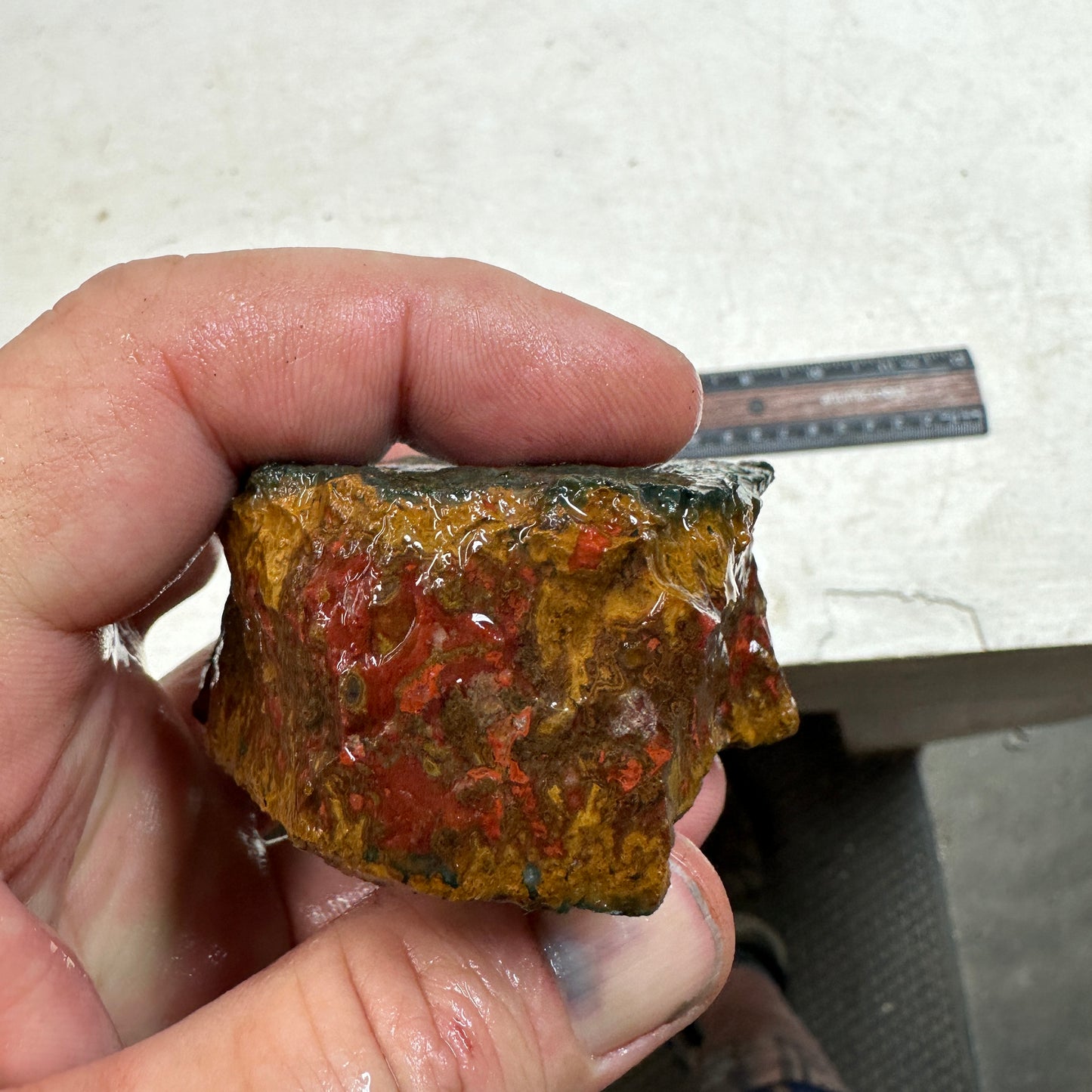 MOROCCAN SEAM AGATE Rough - 7.3ozs