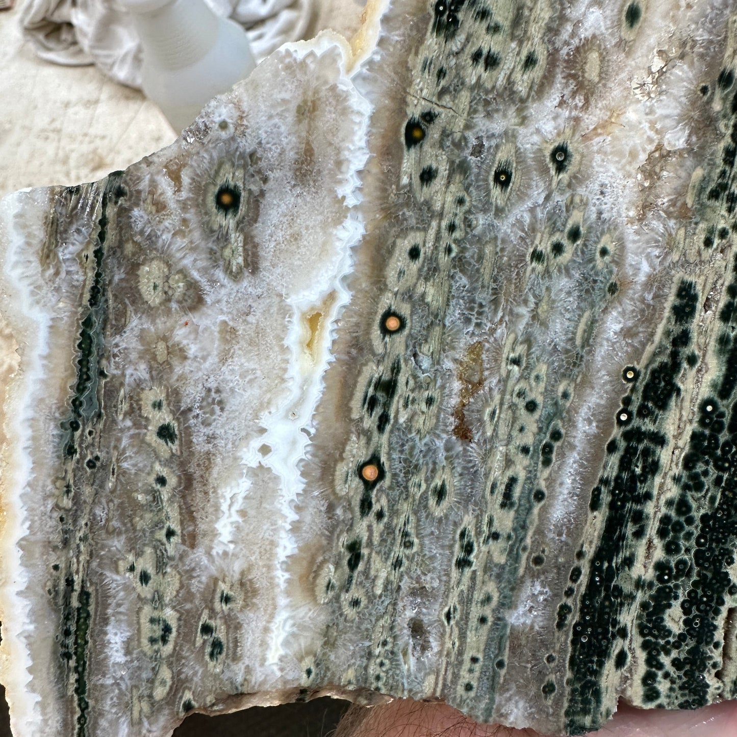 OCEAN JASPER Slab - 299 grams