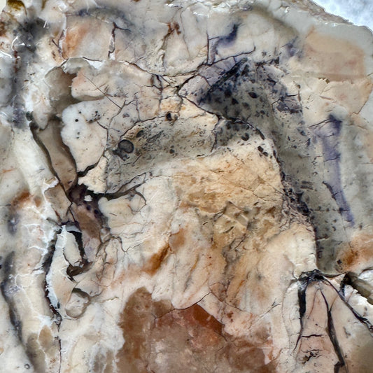 TIFFANY STONE Faced Rough - 1.08 Pounds