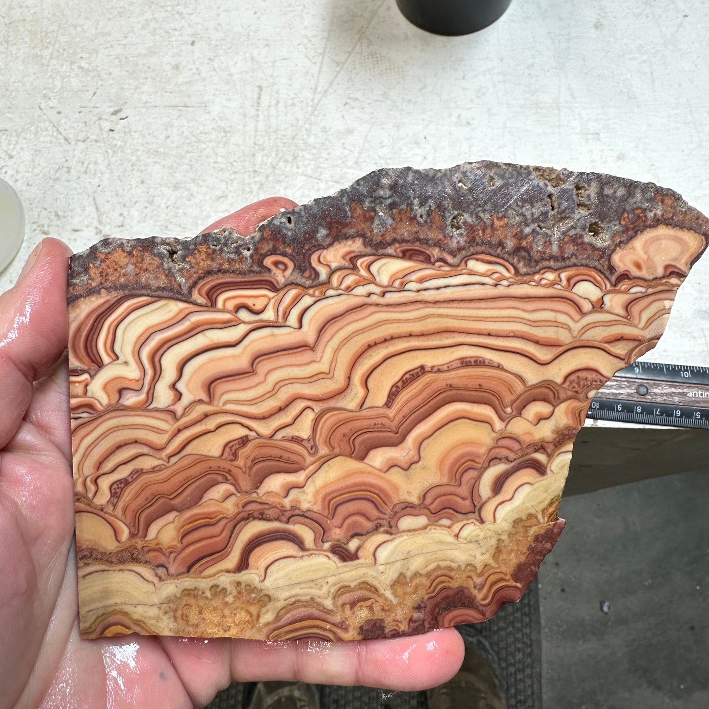 ROLLING HILLS DOLOMITE Slab - 257 grams