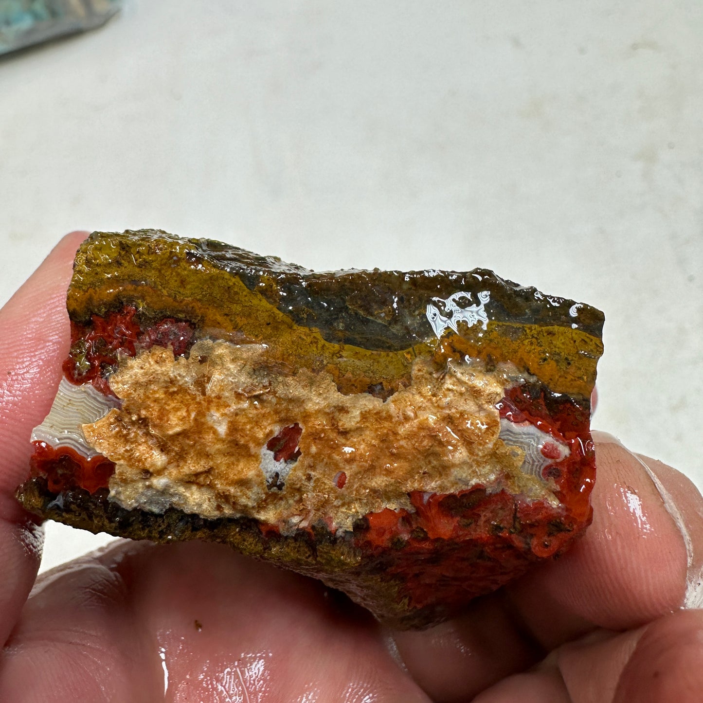 MOROCCAN SEAM AGATE Rough - 0.43 Pounds