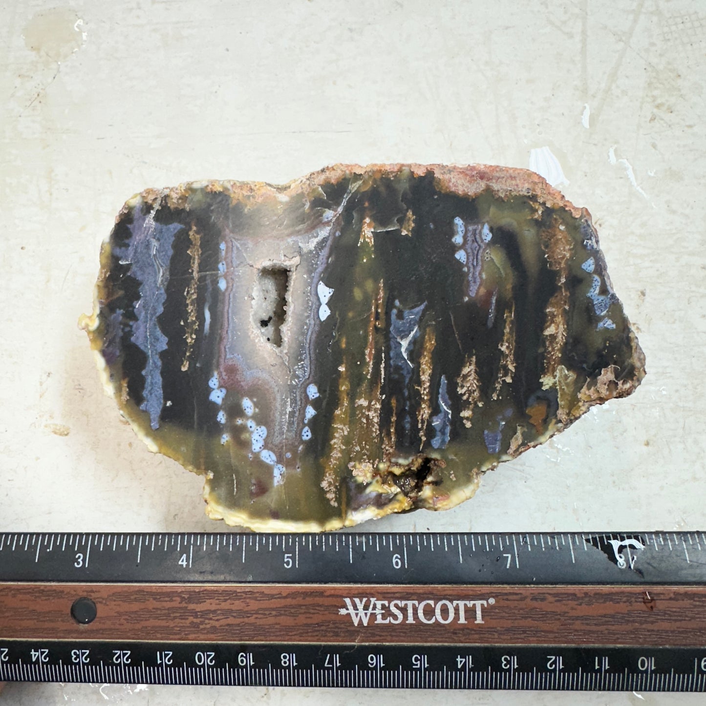 EAST TIMOR AGATE Faced Rough - 1.71 Pounds