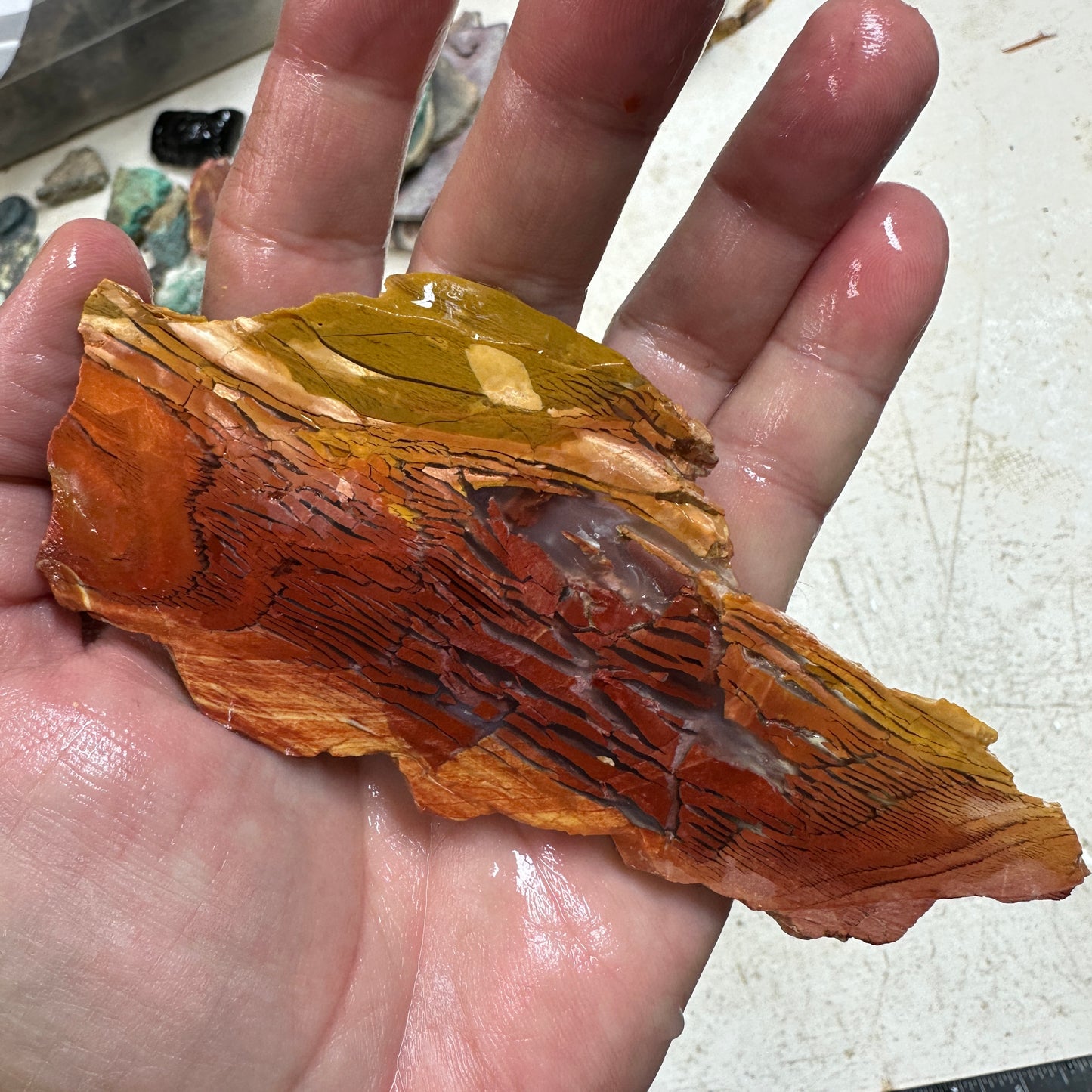 SUNSET HOWARDITE Slab - 73 grams