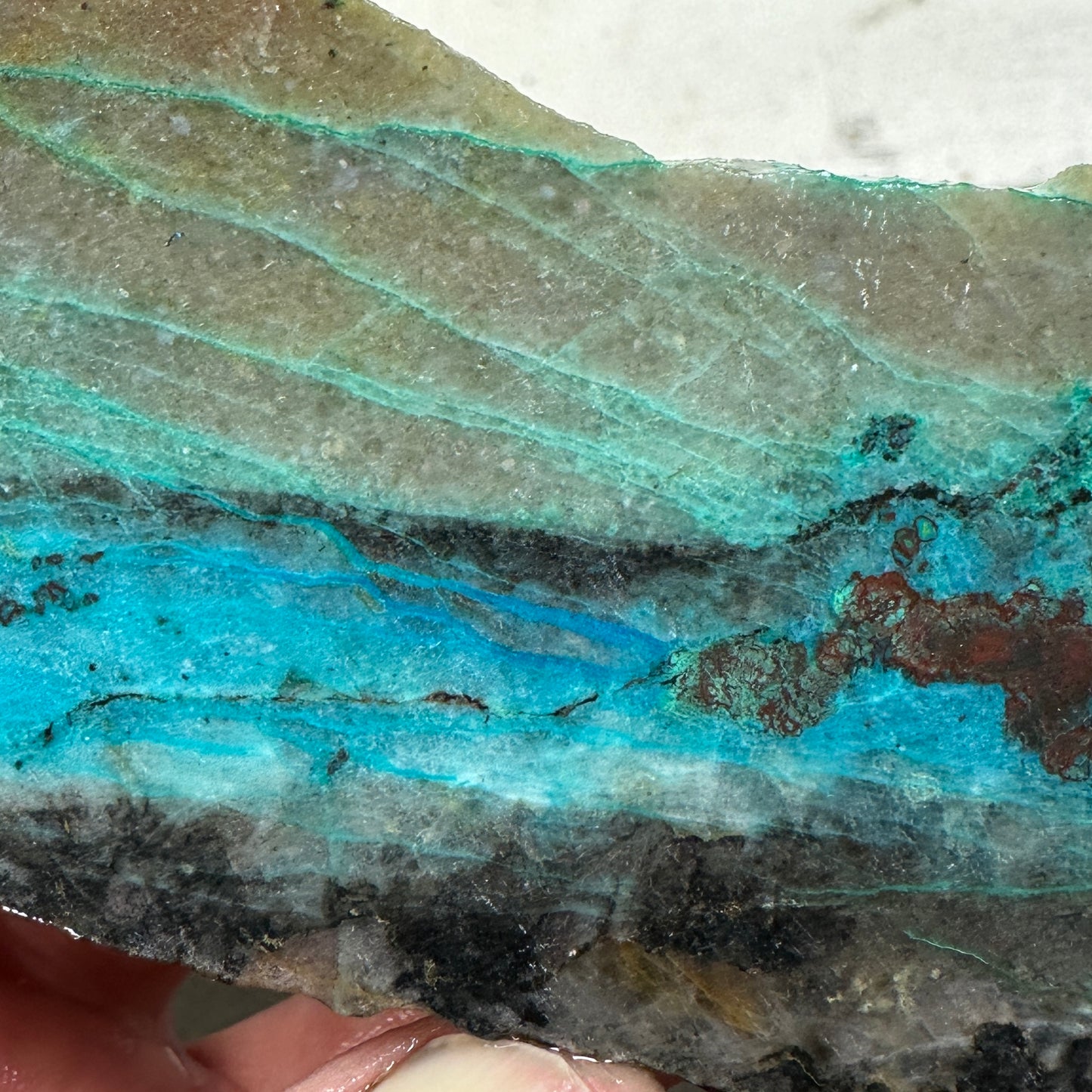 CHRYSOCOLLA IN QUARTZ Faced Rough - 221 grams