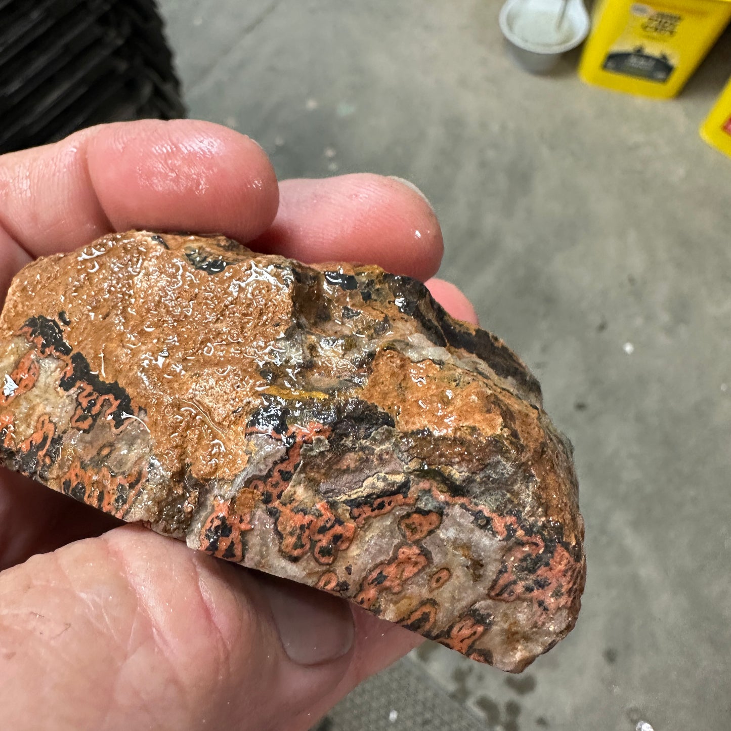 MOROCCAN SEAM AGATE Faced Rough - 0.67 Pounds
