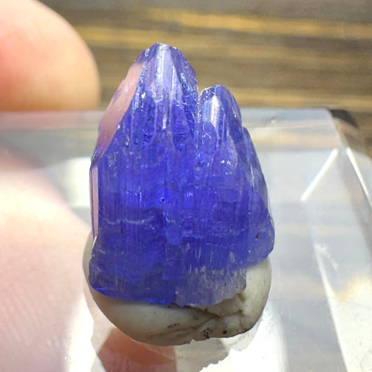 TANZANITE Crystal Display Mineral Specimen
