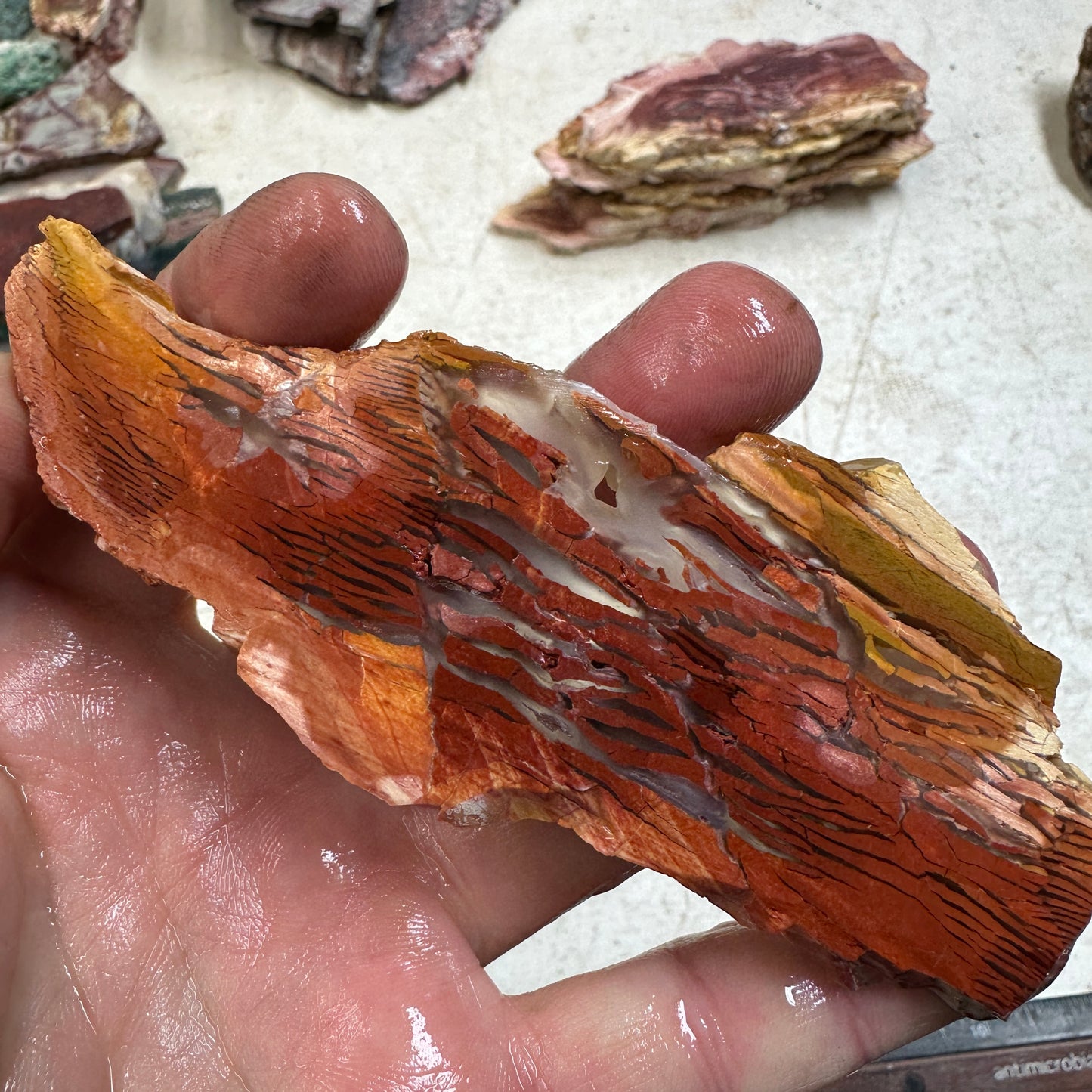 SUNSET HOWARDITE Slab - 63 grams