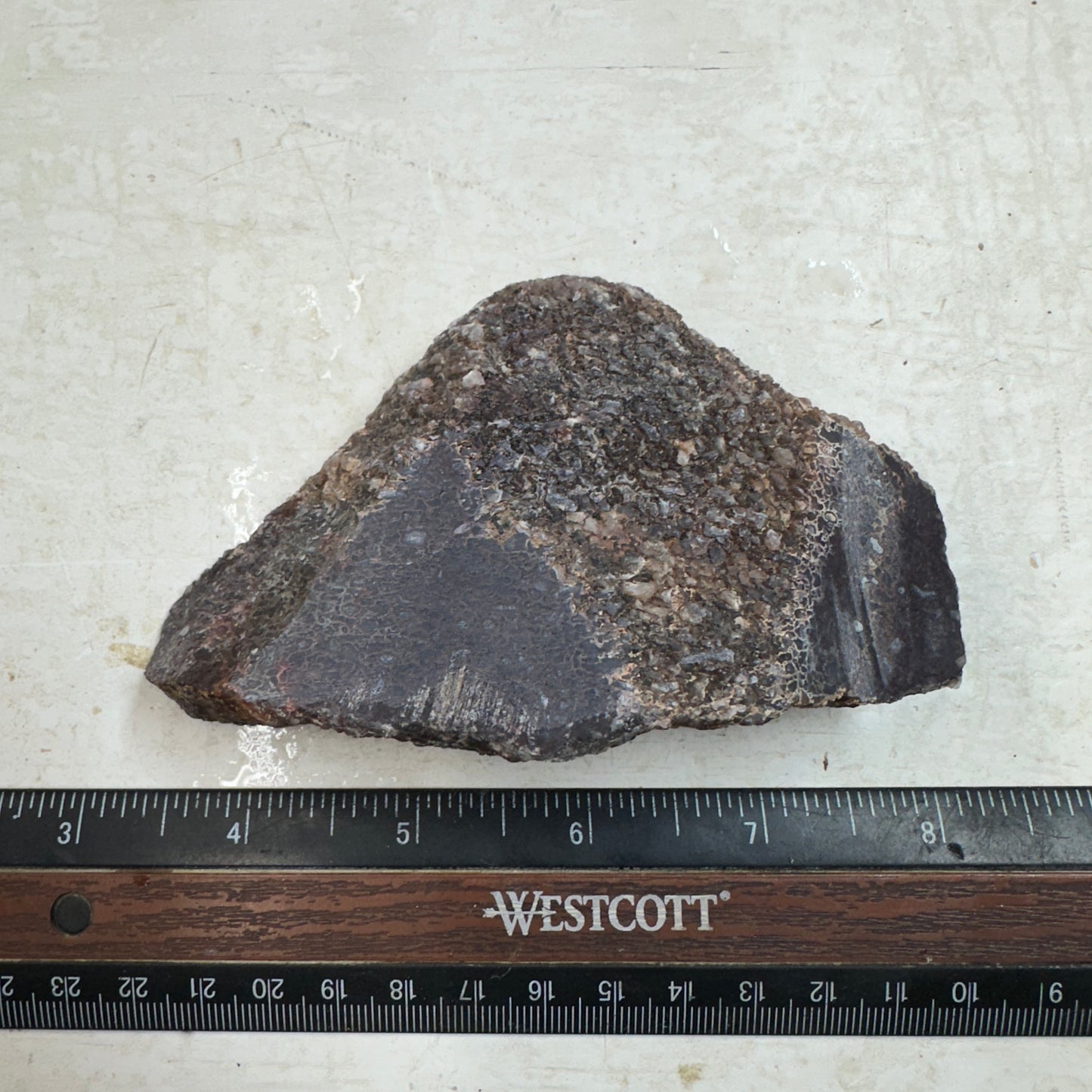 GEMBONE Dinosaur Bone Faced Rough - 10.2 ounces