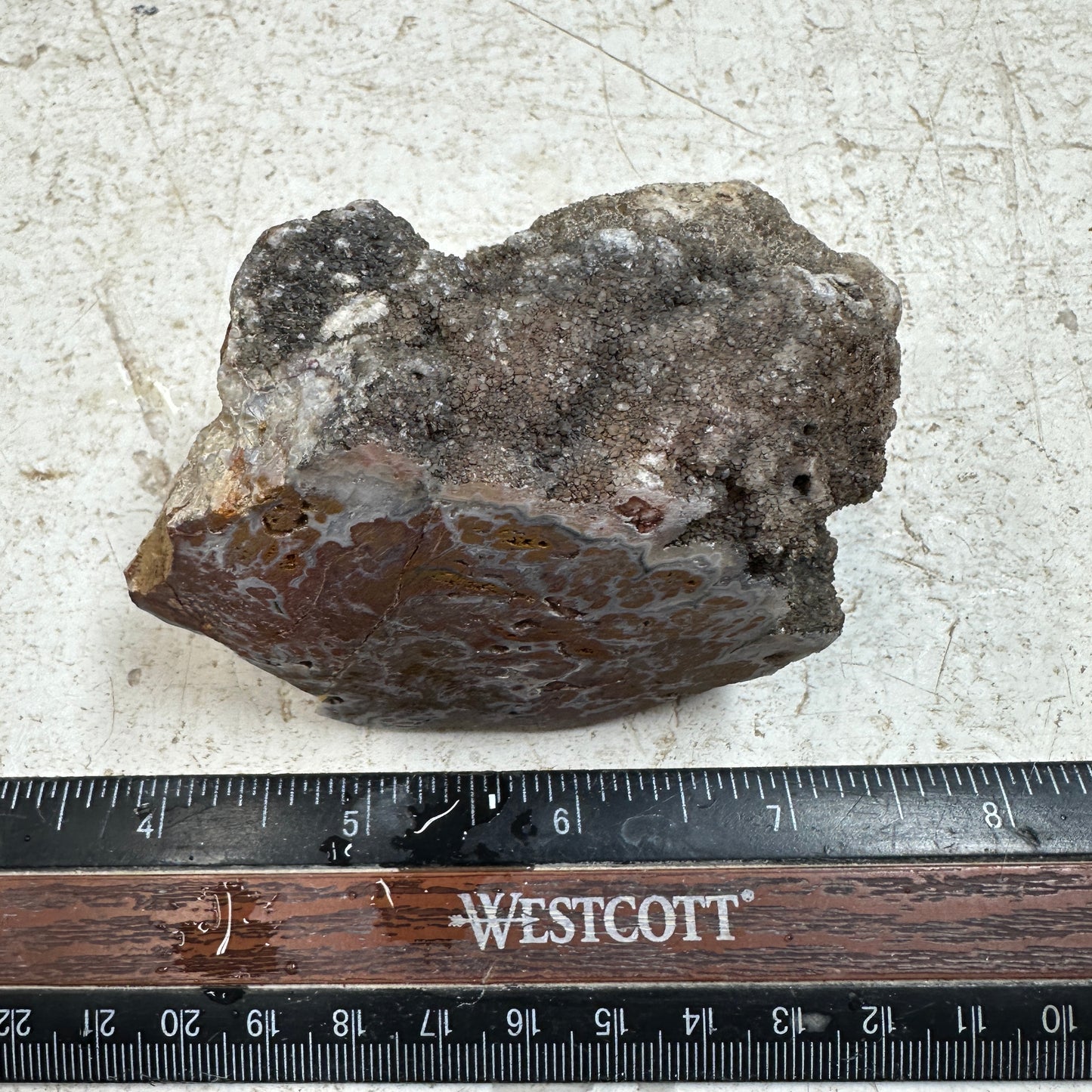 WINGATE PASS PLUME AGATE Windowed Rough - 0.62 Pounds
