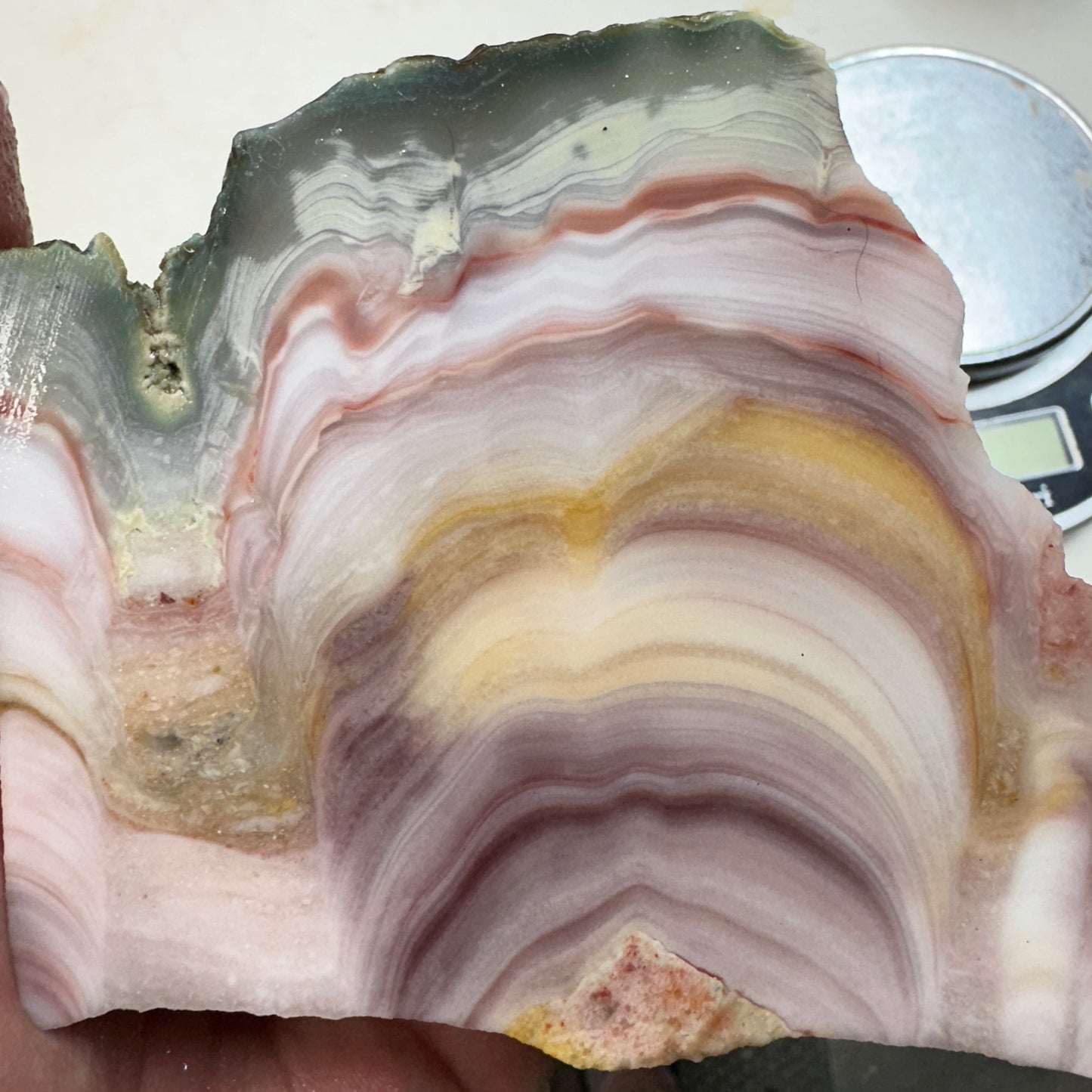 WINDY MOUNTAIN AGATE Faced Rough - 1.48 Pounds