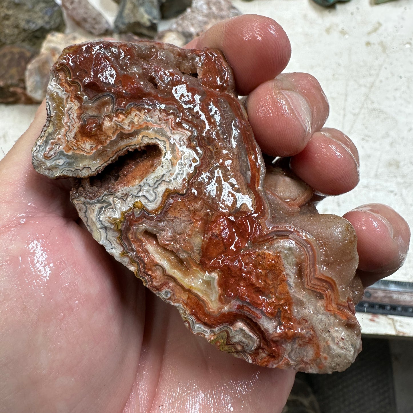 CRAZY LACE AGATE Faced Rough - 0.52 pounds