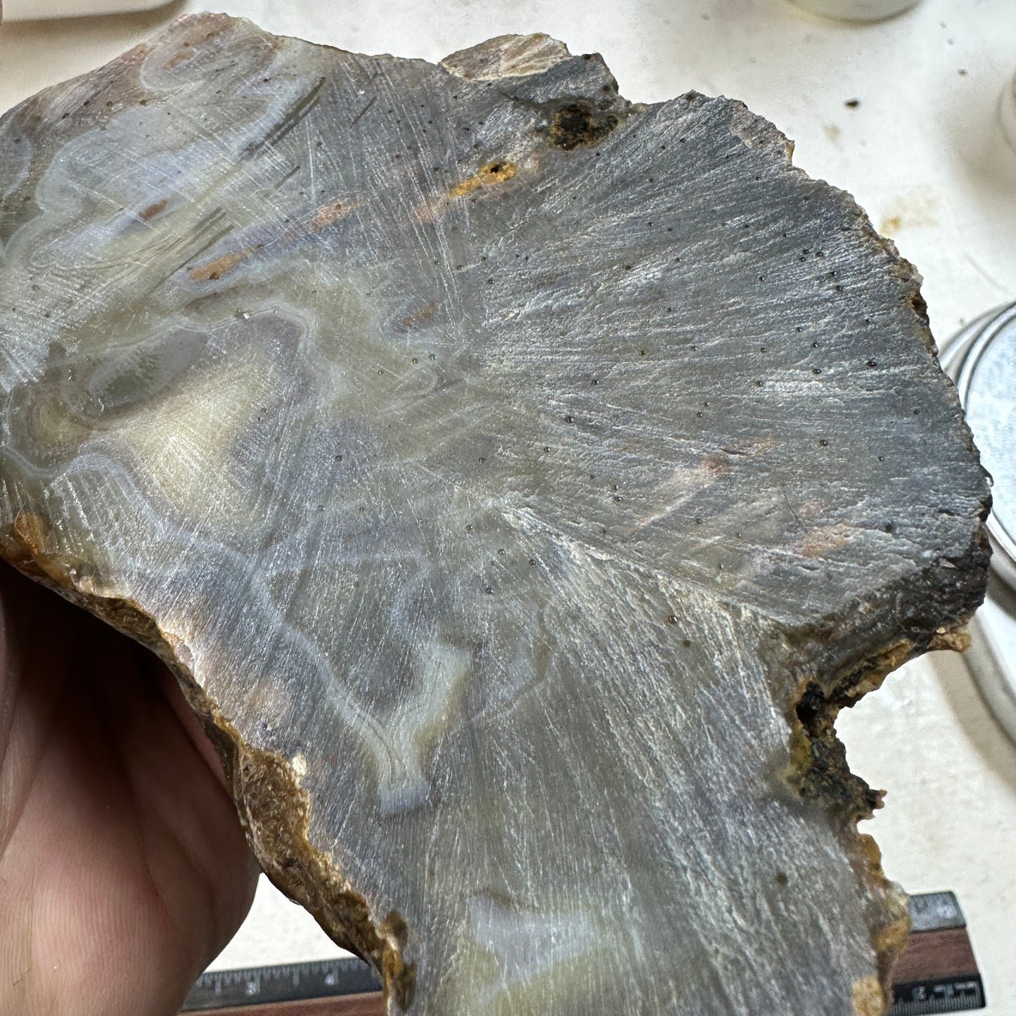 EAST TIMOR AGATE Faced Rough - 1.75 Pounds