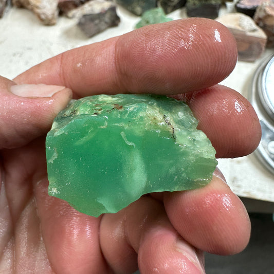 Tanzanian CHRYSOPRASE Rough 50.7 grams