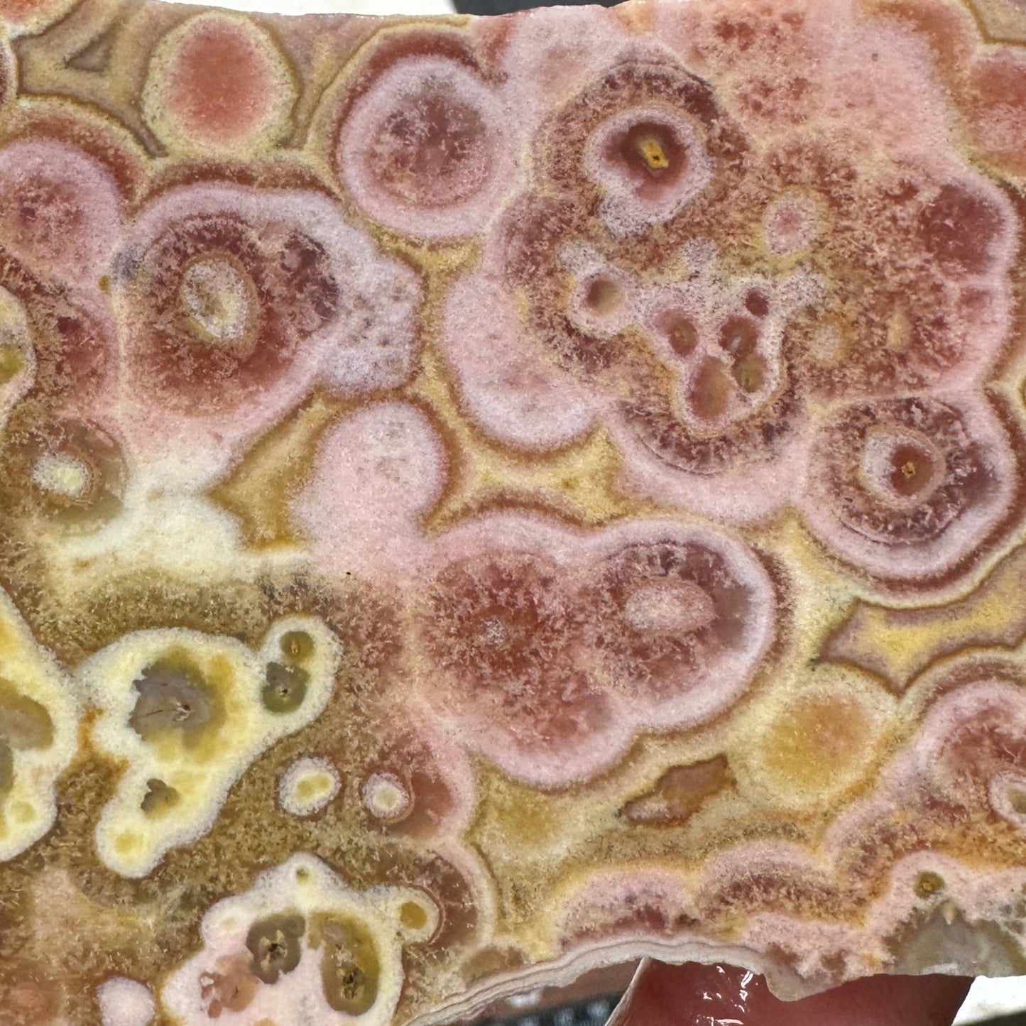 CRAZY LACE AGATE Slab - 175 grams