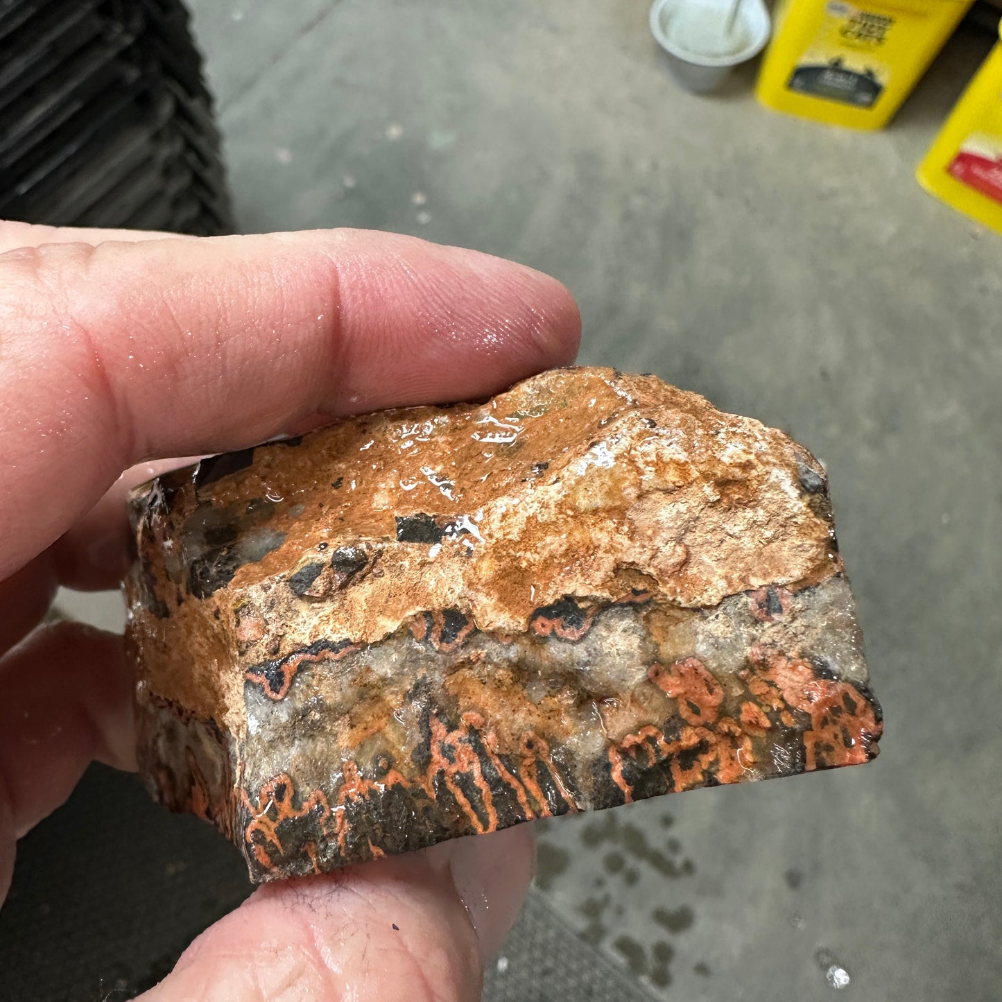 MOROCCAN SEAM AGATE Faced Rough - 0.67 Pounds