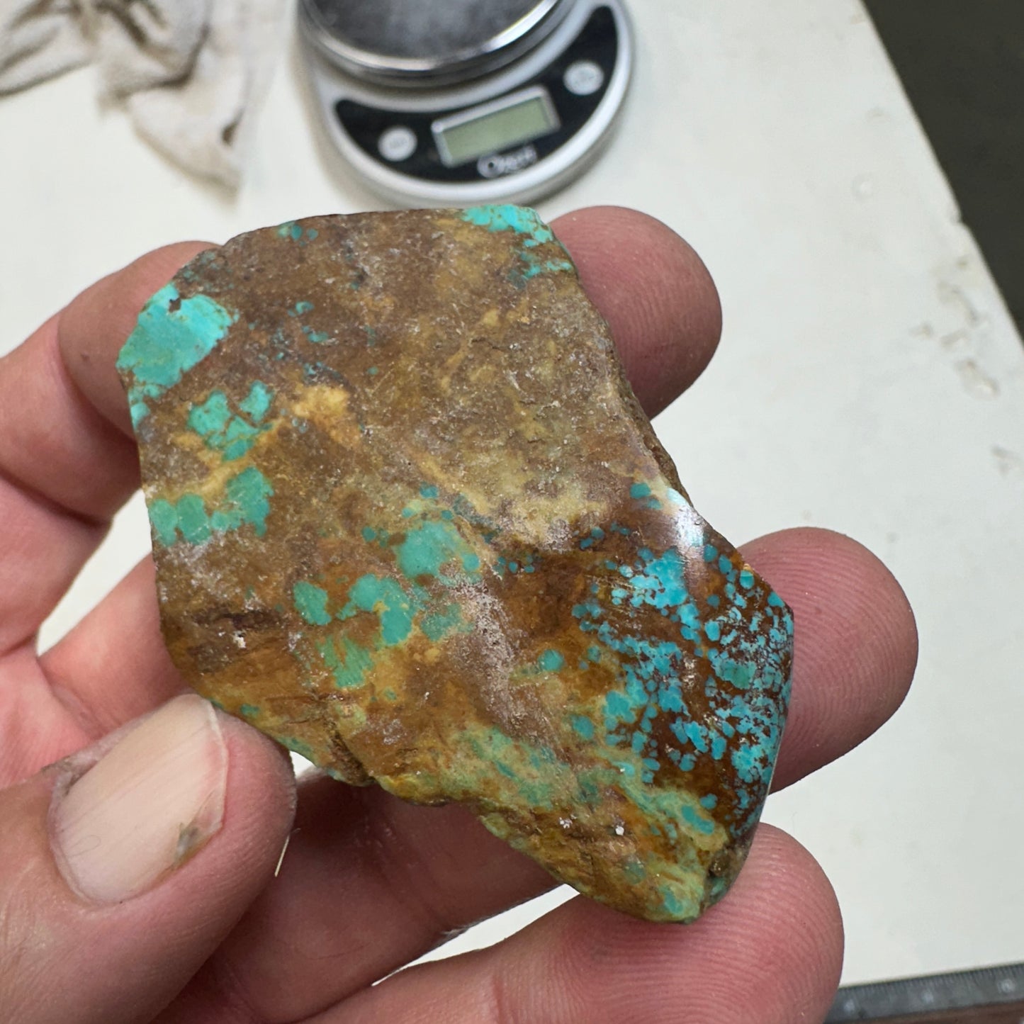 RISING PHOENIX Turquoise rough - 52 grams