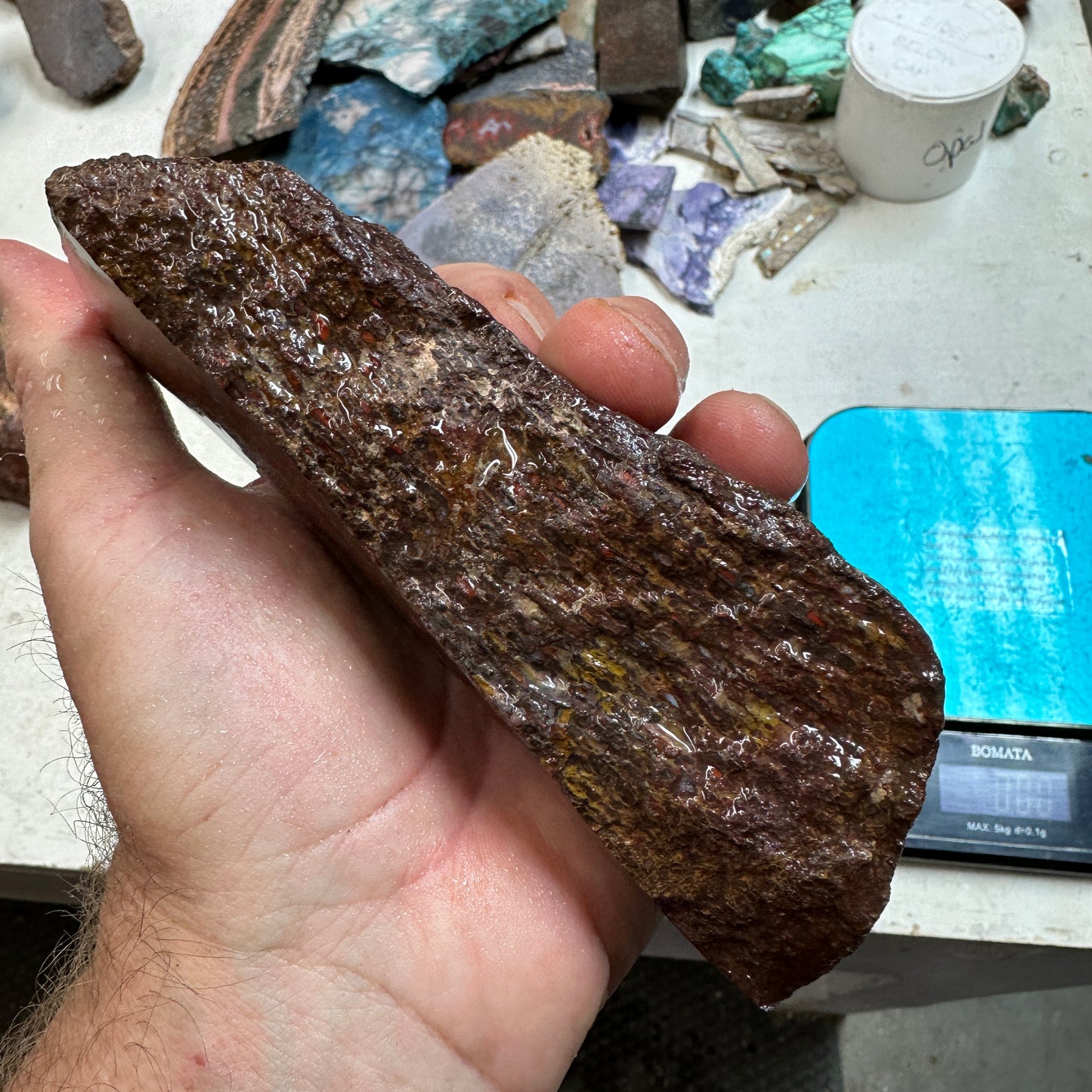 GEMBONE Dinosaur Bone Faced Rough - 1.82 Pounds