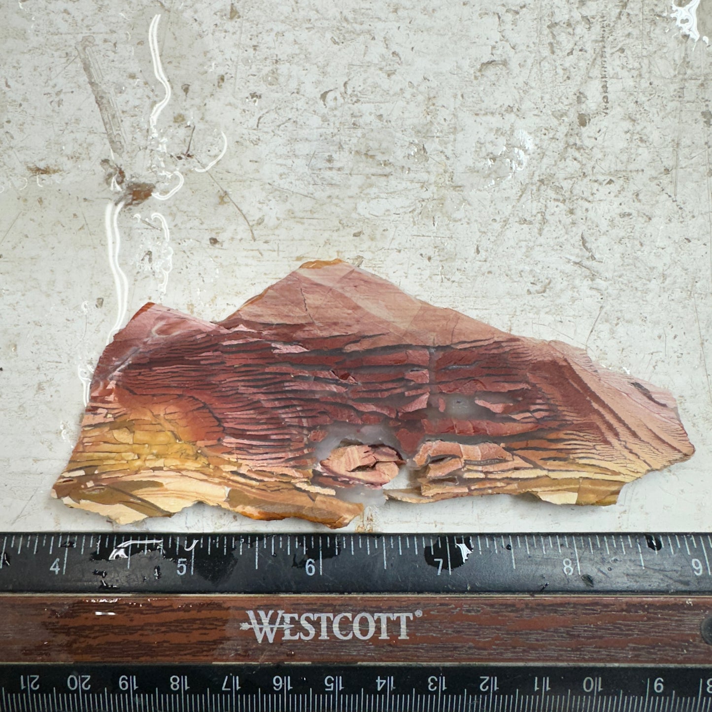 SUNSET HOWARDITE Slab - 56 grams