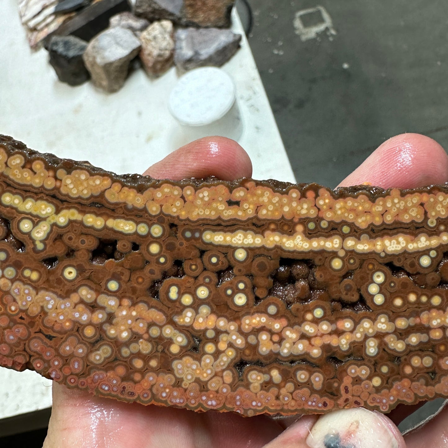 Chocolate RIVER JASPER Slab - 171 grams