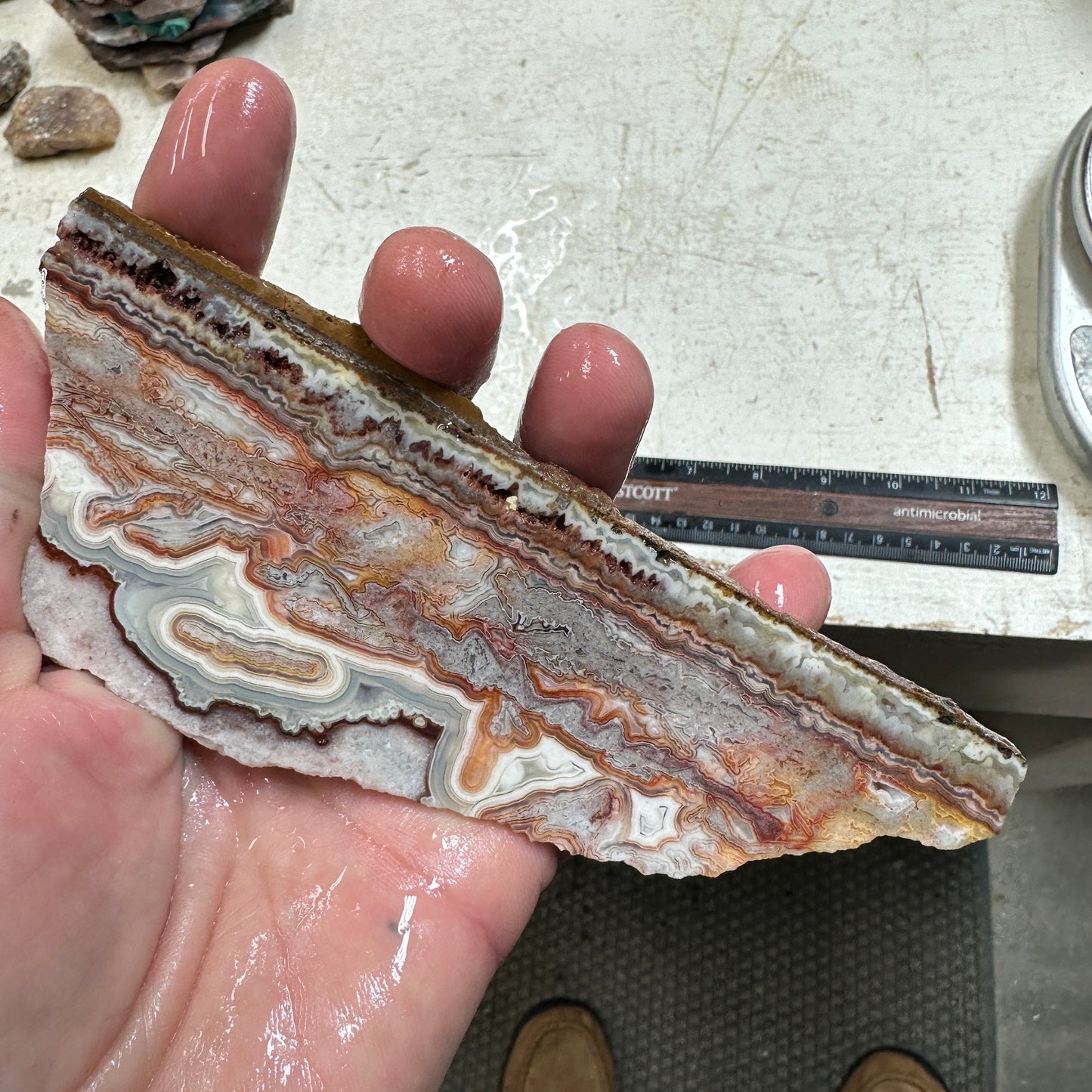 LAGUNA LACE AGATE Slab - 118 grams