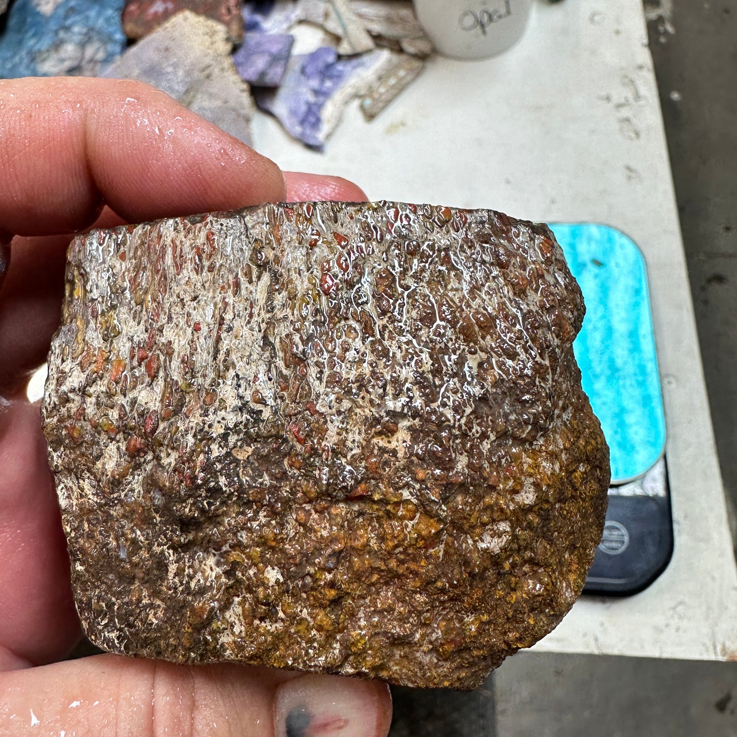 GEMBONE Dinosaur Bone Faced Rough - 1.41 Pounds