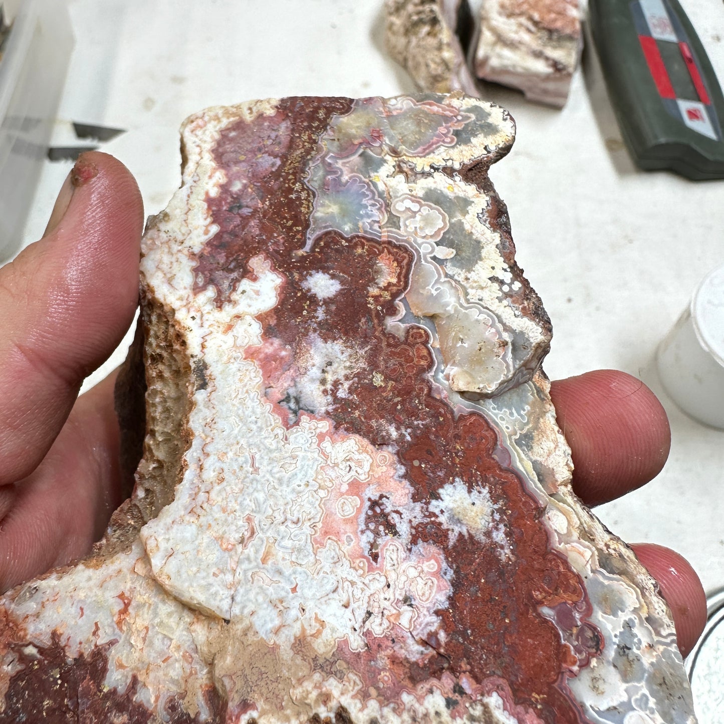 CRAZY LACE AGATE Rough - 1.76 Pounds