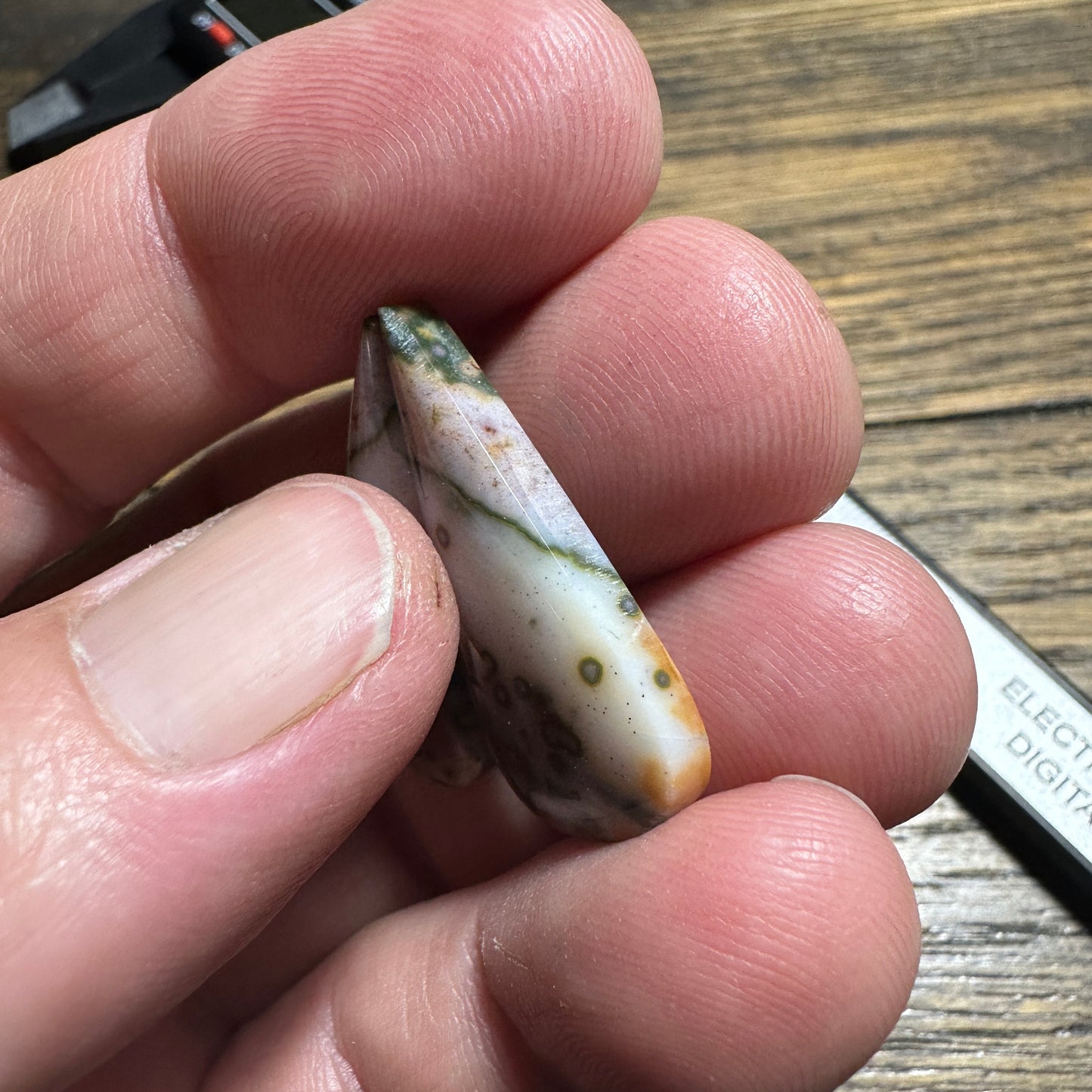 RIVER JASPER cabochon pair