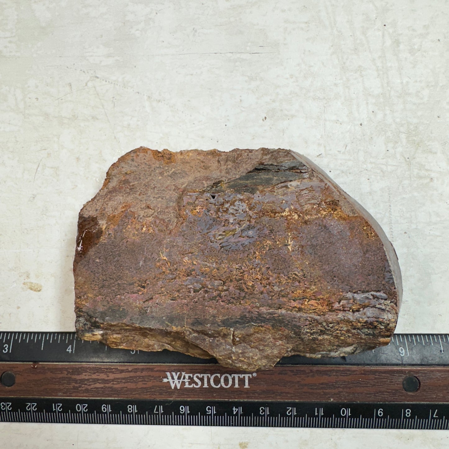 GEMBONE Dinosaur Bone Faced Rough - 16.7 ounces