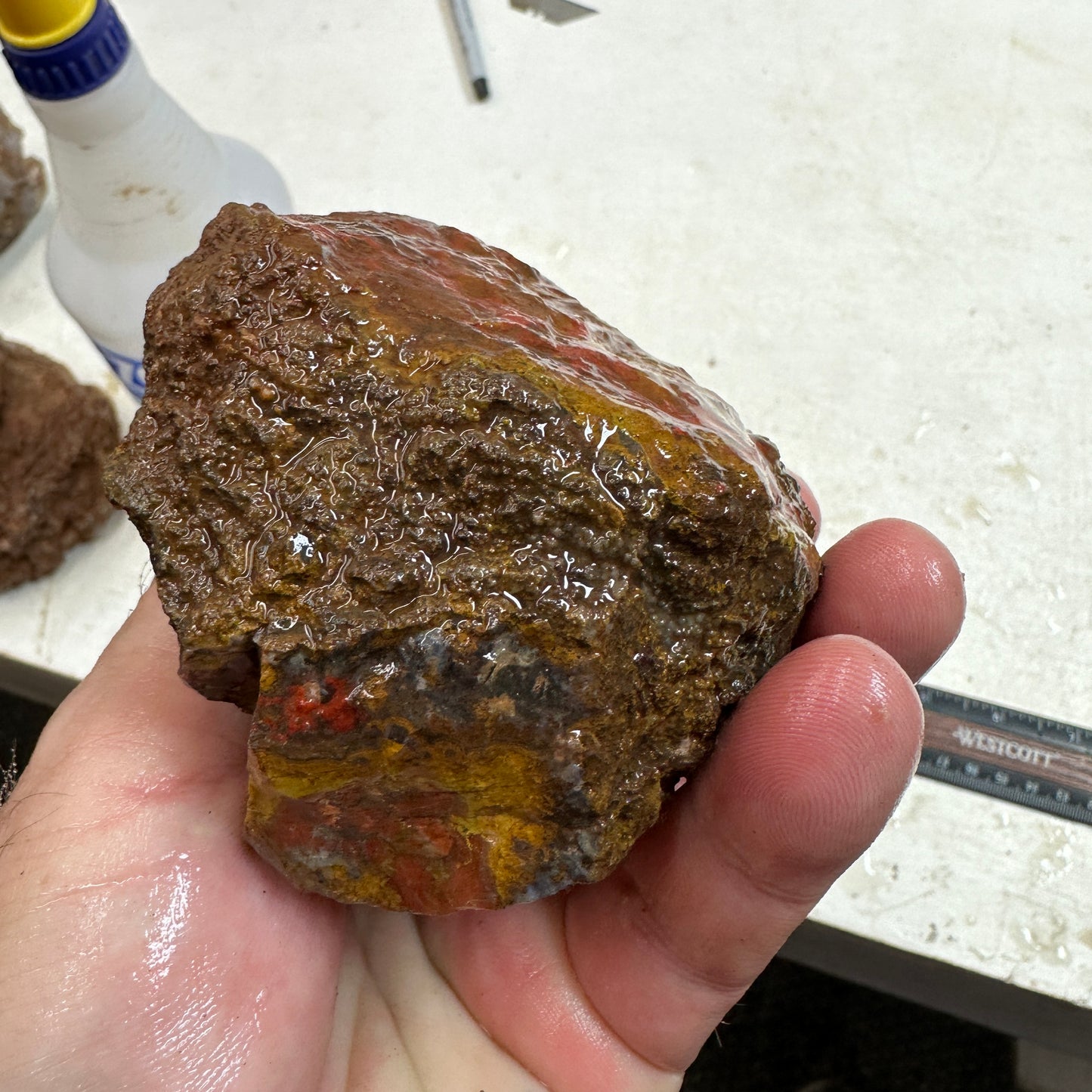 MOROCCAN SEAM AGATE Rough - 1.63 Pounds