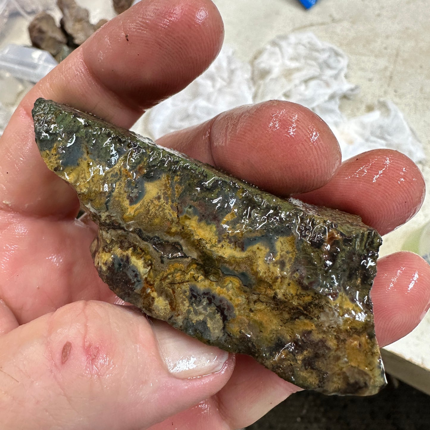 IDAHO WILDFIRE PLUME AGATE Faced Rough - 3.48oz