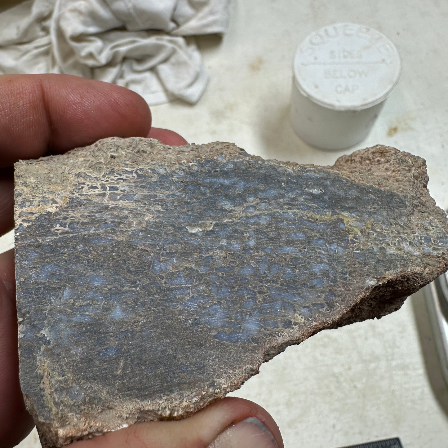 GEMBONE Dinosaur Bone Faced Rough - 0.98 Pounds