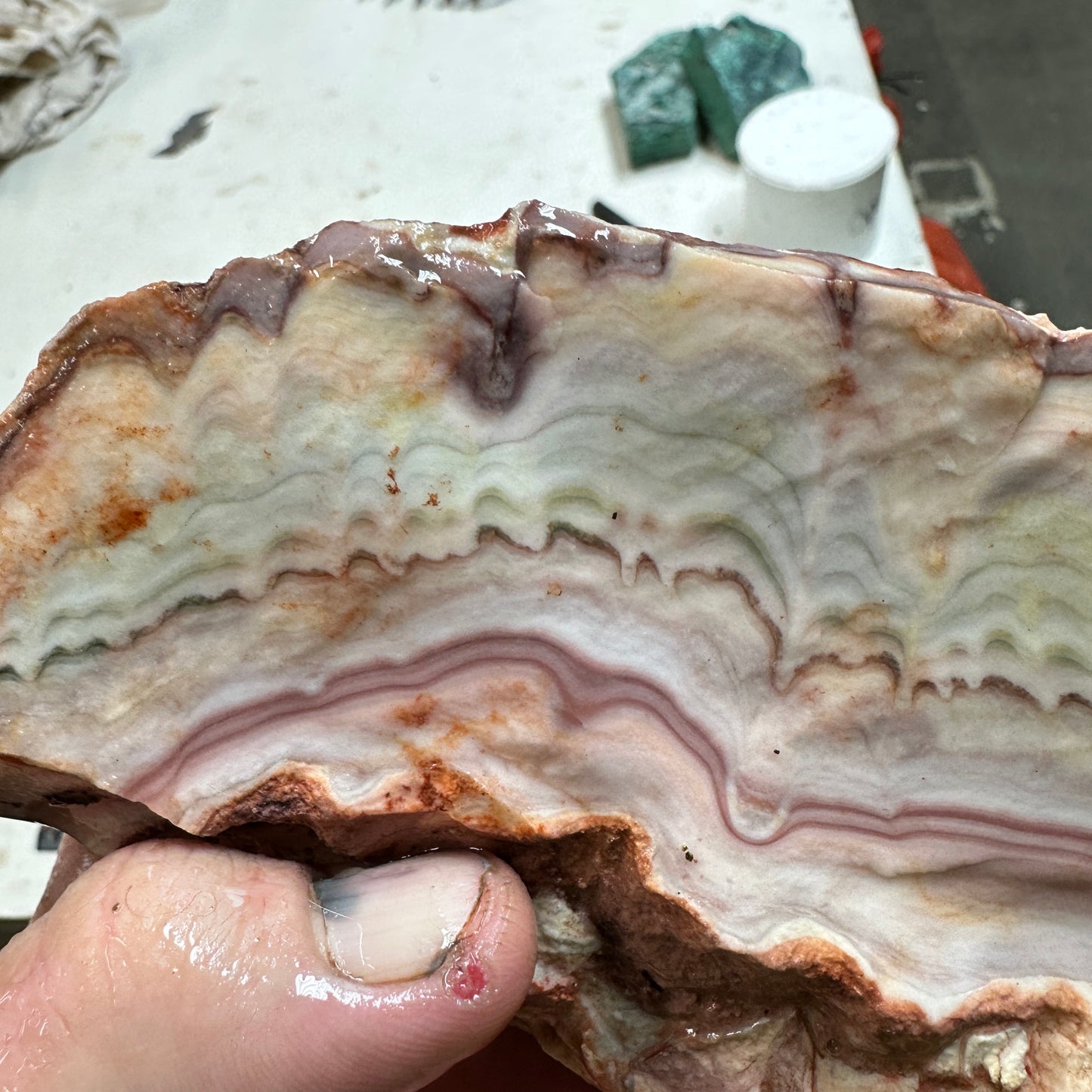 WINDY MOUNTAIN AGATE Rough - 1.69 Pounds