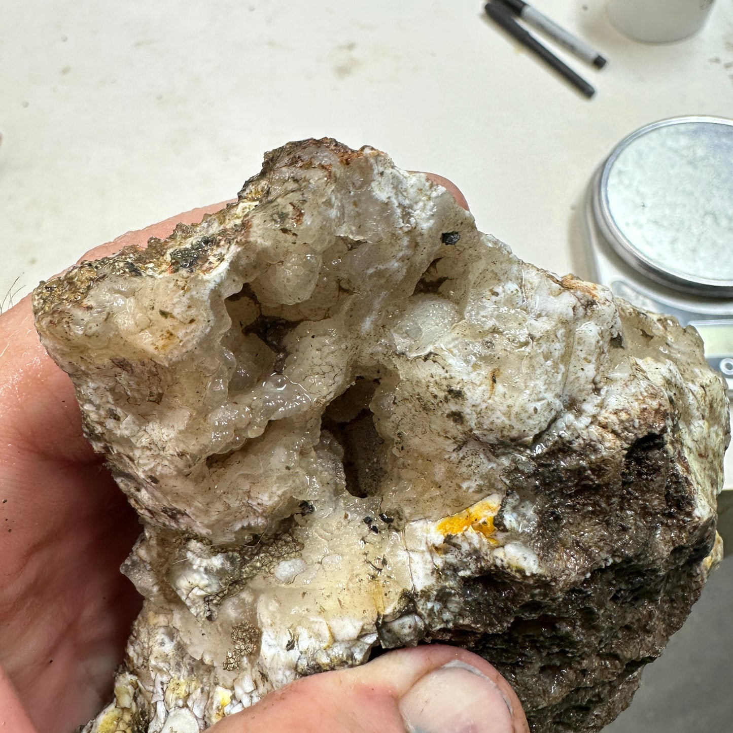 NEVADA POINT PLUME AGATE Rough - 1.27 Pounds