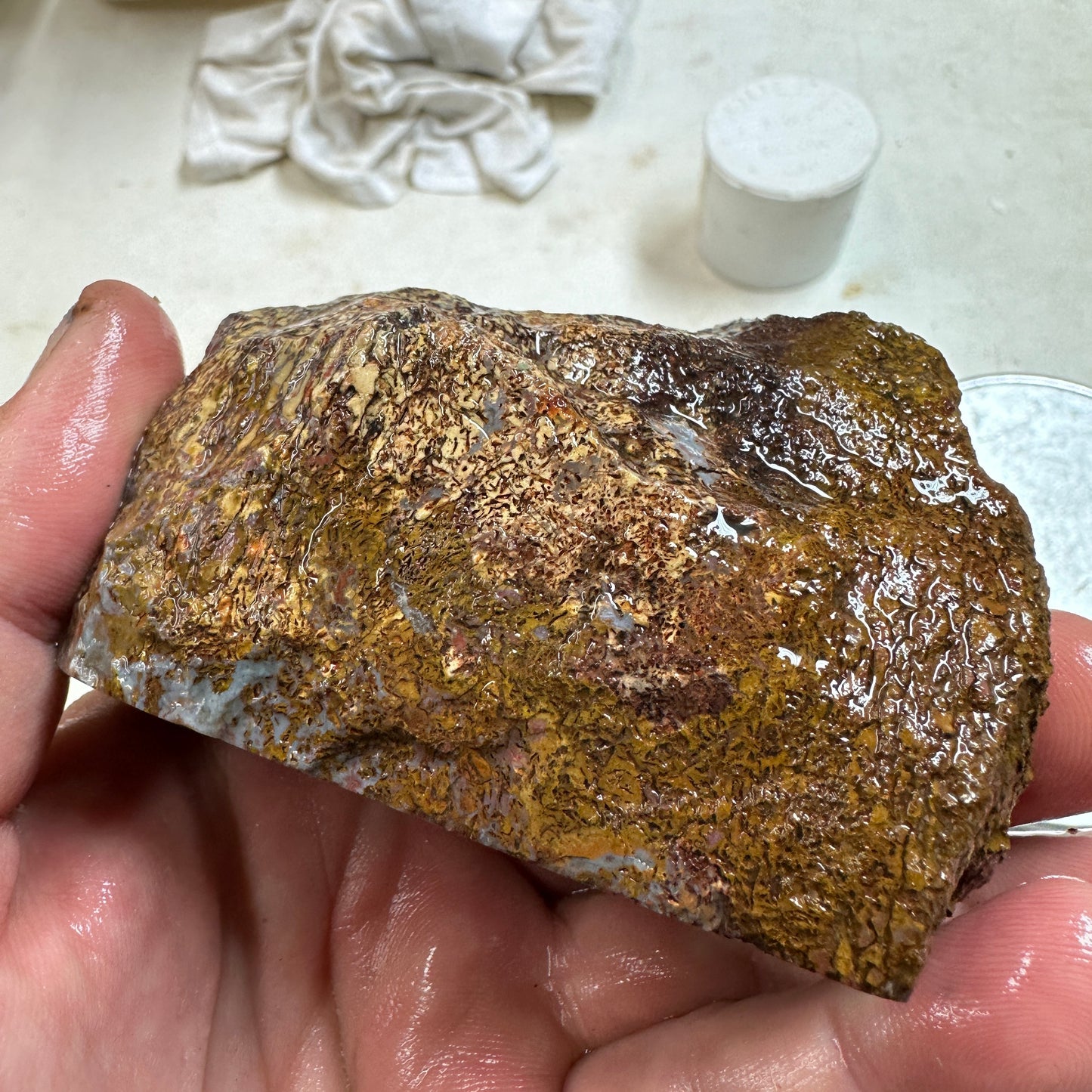 GEMBONE Dinosaur Bone Faced Rough - 0.86 Pounds