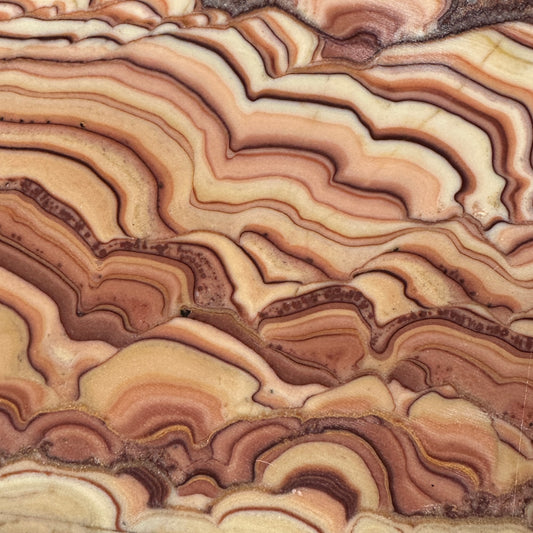 ROLLING HILLS DOLOMITE Slab - 257 grams