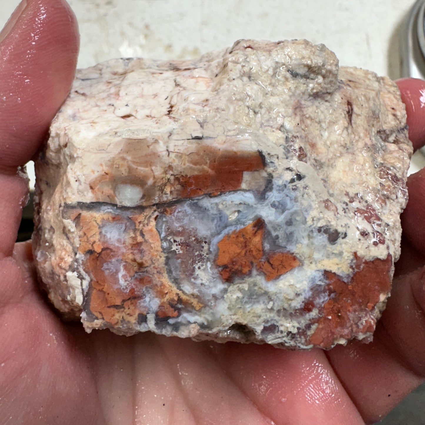 TIFFANY STONE Rough - 1.34 Pounds