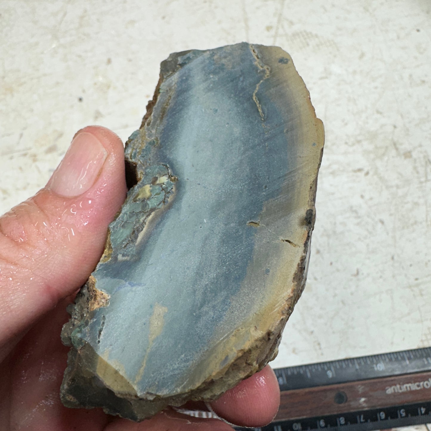 ECHO RIDGE JASPER Rough - 0.69 Pounds