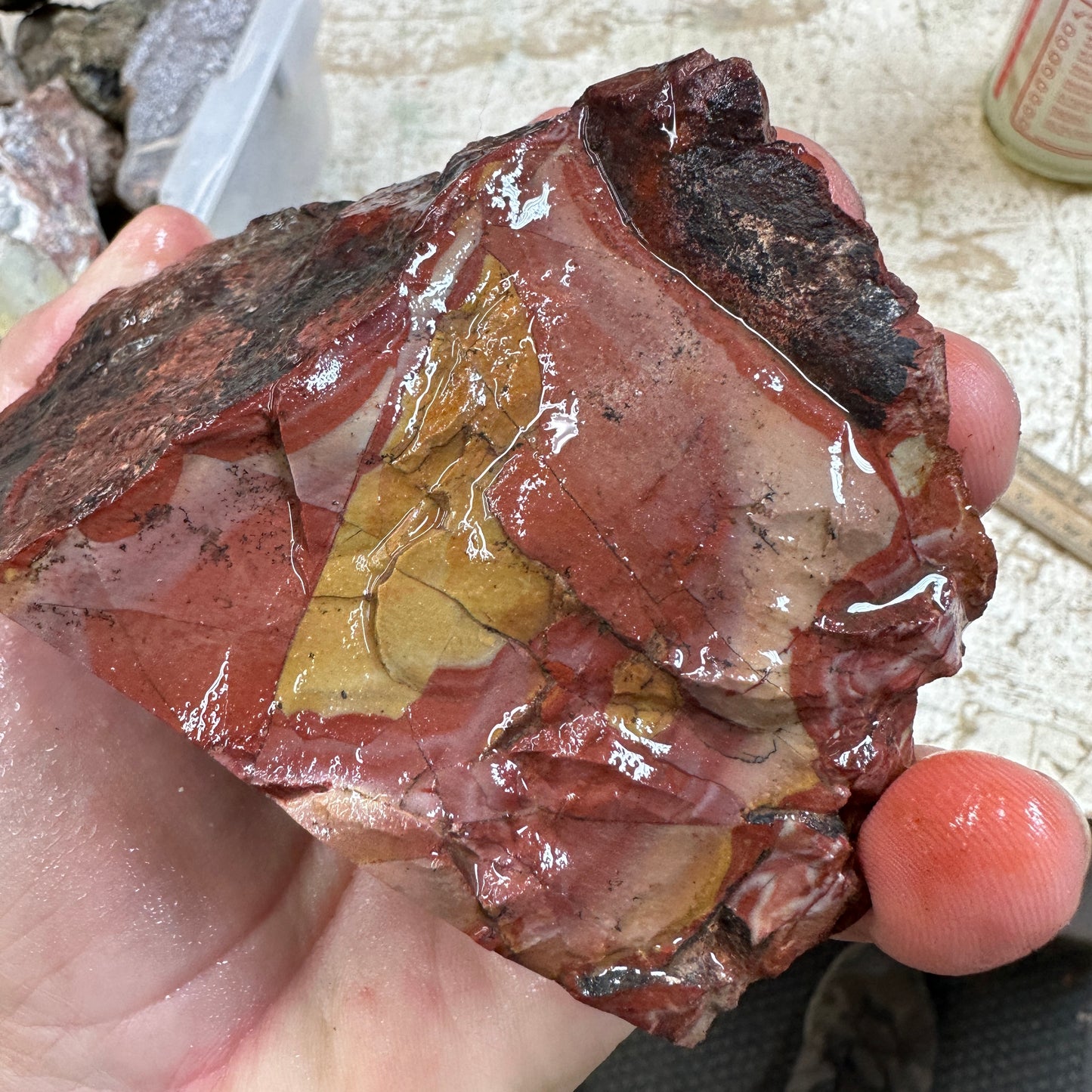 MESCALERO JASPER Faced Rough - 1.60 Pounds