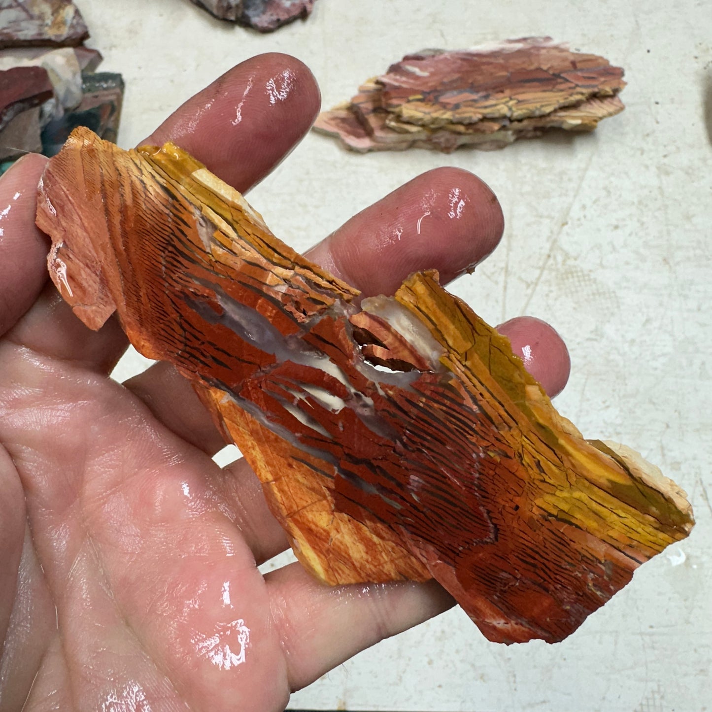 SUNSET HOWARDITE Slab - 62 grams