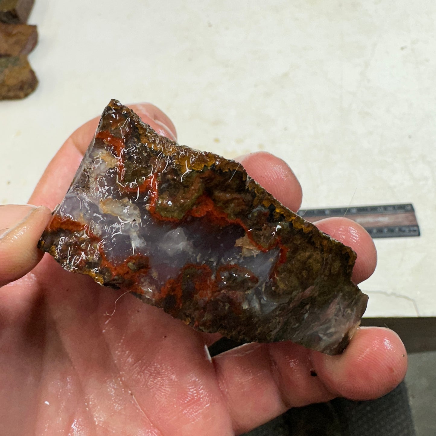 MOROCCAN SEAM AGATE Rough - 9.7ozs